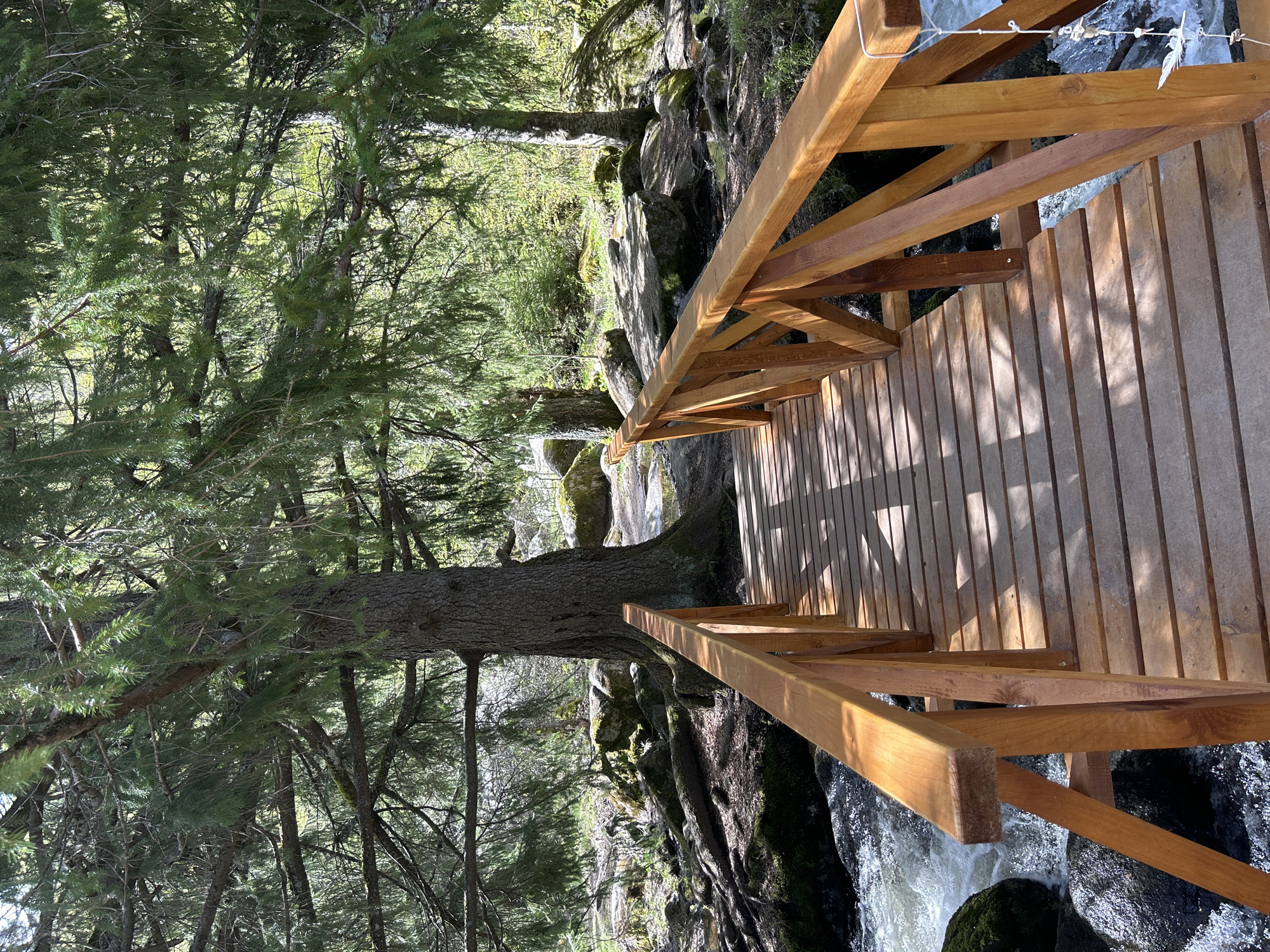 A wooden bridge spans a waterway amidst a forest setting. The bridge features a light brown wood, with planks running lengthwise, and a simple railing along both sides constructed of the same wood. The forest is dense, with trees on either side of the bridge, some with moss-covered trunks and thick green canopies. Below the bridge, water flows over rocks. The lighting appears dappled, with sunlight filtering through the trees, creating shadows on the bridge deck. The image is oriented vertically. The specific location is not discernible from the image.