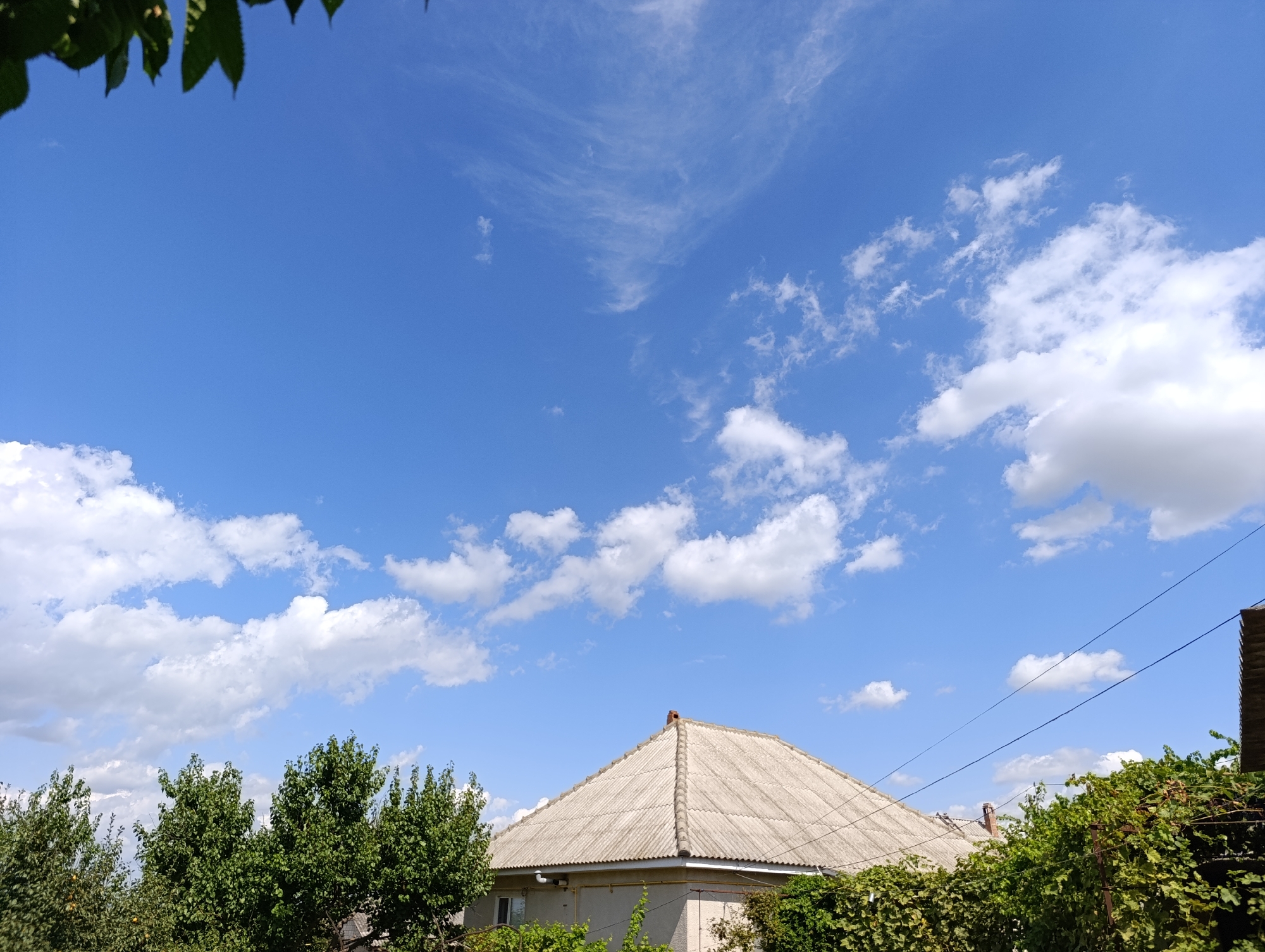 In the city of Roghi, Moldova, on a bright, clear day, a view unfolds towards a residential building with a light-colored, corrugated roof. The building is partially obscured by lush green foliage from trees and vines. The sky above is a vibrant blue, scattered with numerous white, fluffy clouds, and some thinner, wispy cirrus clouds higher up, suggesting fair weather. The lower portion of the frame is dominated by the roof and surrounding vegetation, while the upper two-thirds are dedicated to the expansive sky.