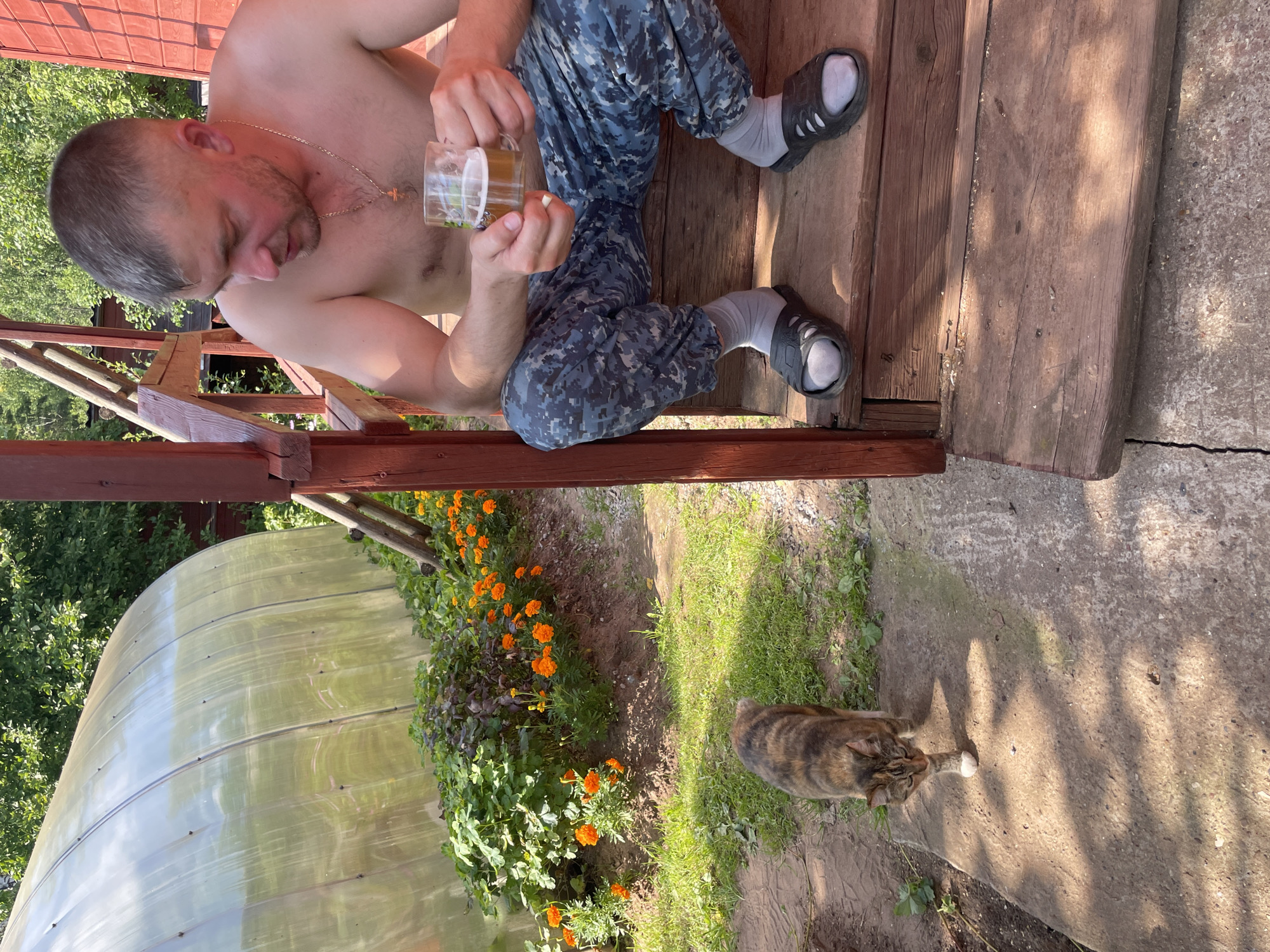 A man sits on the wooden steps of a porch, holding a glass of beer. He is shirtless and wearing camouflage pants and gray socks with black slides. To his left, a calico cat walks on a concrete path in front of a garden with orange flowers and green plants, bordered by a large greenhouse. The scene appears to be in a rural setting, potentially in Дресвяново, Russia, given the context.
