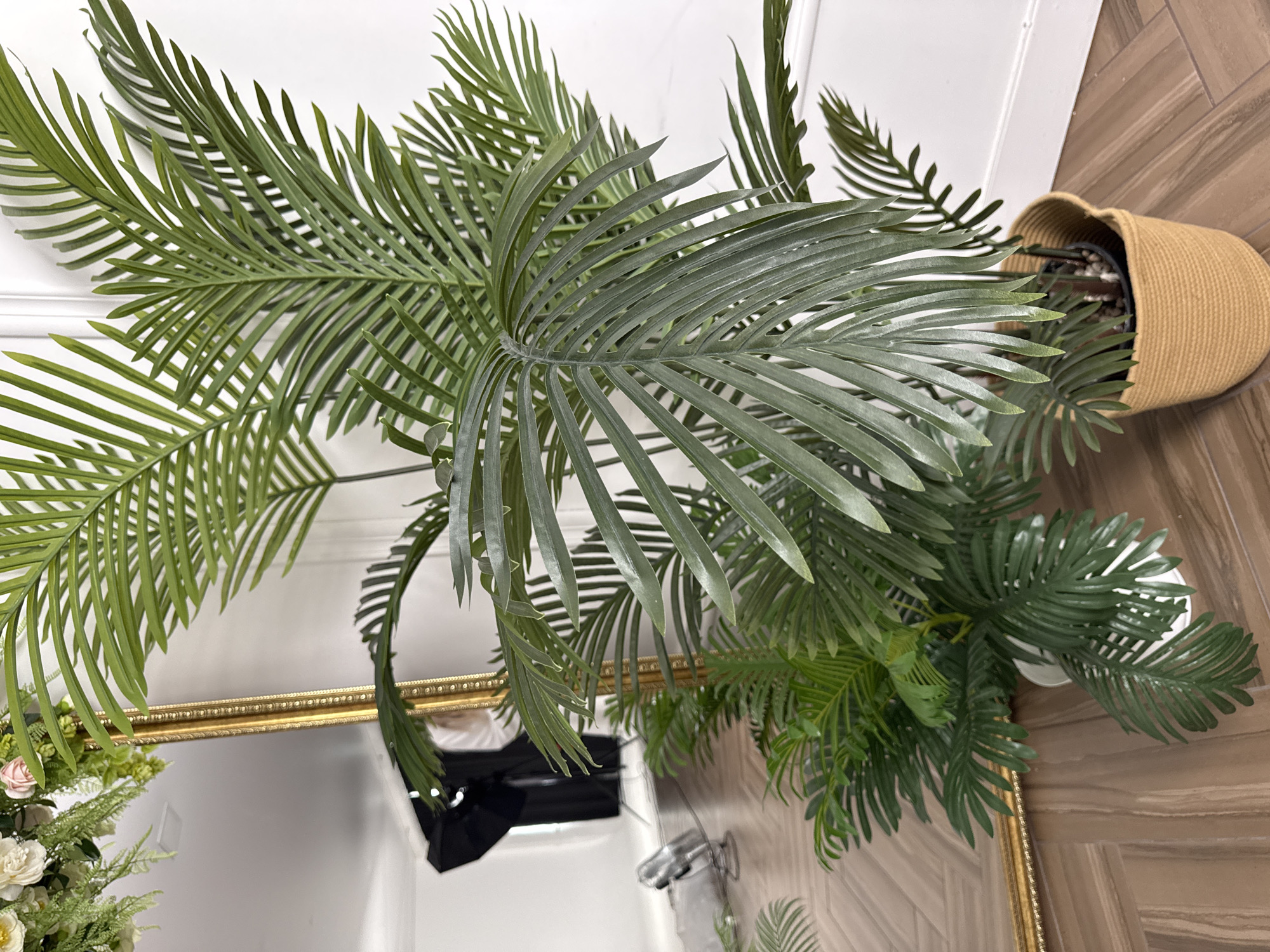 The image shows a close-up, top-down view of a large potted plant with feathery green leaves. The plant is partially reflected in a gold-framed mirror. The pot is a woven tan material. The floor is tiled in a light-brown patterned tile.
There is no information available to determine this image was taken in Chaikovsky, Russia.