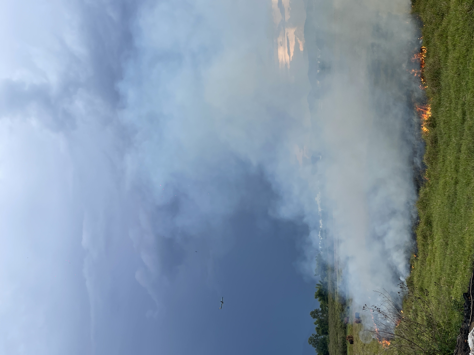 A large plume of white and gray smoke billows from a field of green grass, obscuring the lower half of the image. In the foreground, patches of orange flames lick at the grass. In the background, a dark, overcast sky looms, with hints of lighter clouds and what appears to be a distant mountain range. A small airplane is visible in the upper left quadrant of the sky. In the middle ground, a few brown cows are grazing in the field. Trees and some buildings are visible on the far horizon. The scene appears to be an open field, possibly in a rural or suburban area on the outskirts of Da Nang, Vietnam, given the presence of vegetation and the distant structures. The overall impression is one of an agricultural burn or a brush fire.