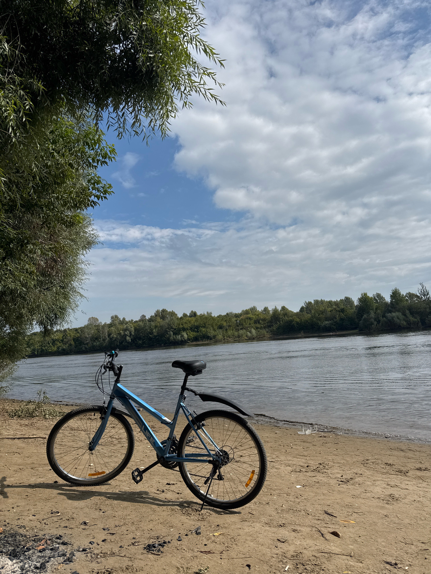 A blue bicycle is parked on a sandy riverbank. The river stretches across the background, with a dense green forest lining the opposite bank. The sky above is partly cloudy, with white clouds against a blue expanse. A large tree with hanging branches is to the left of the frame, partially obscuring the sky. The sand on the bank shows footprints and scattered debris. There are no people or animals visible in the image. The scene suggests a natural, outdoor recreational setting.