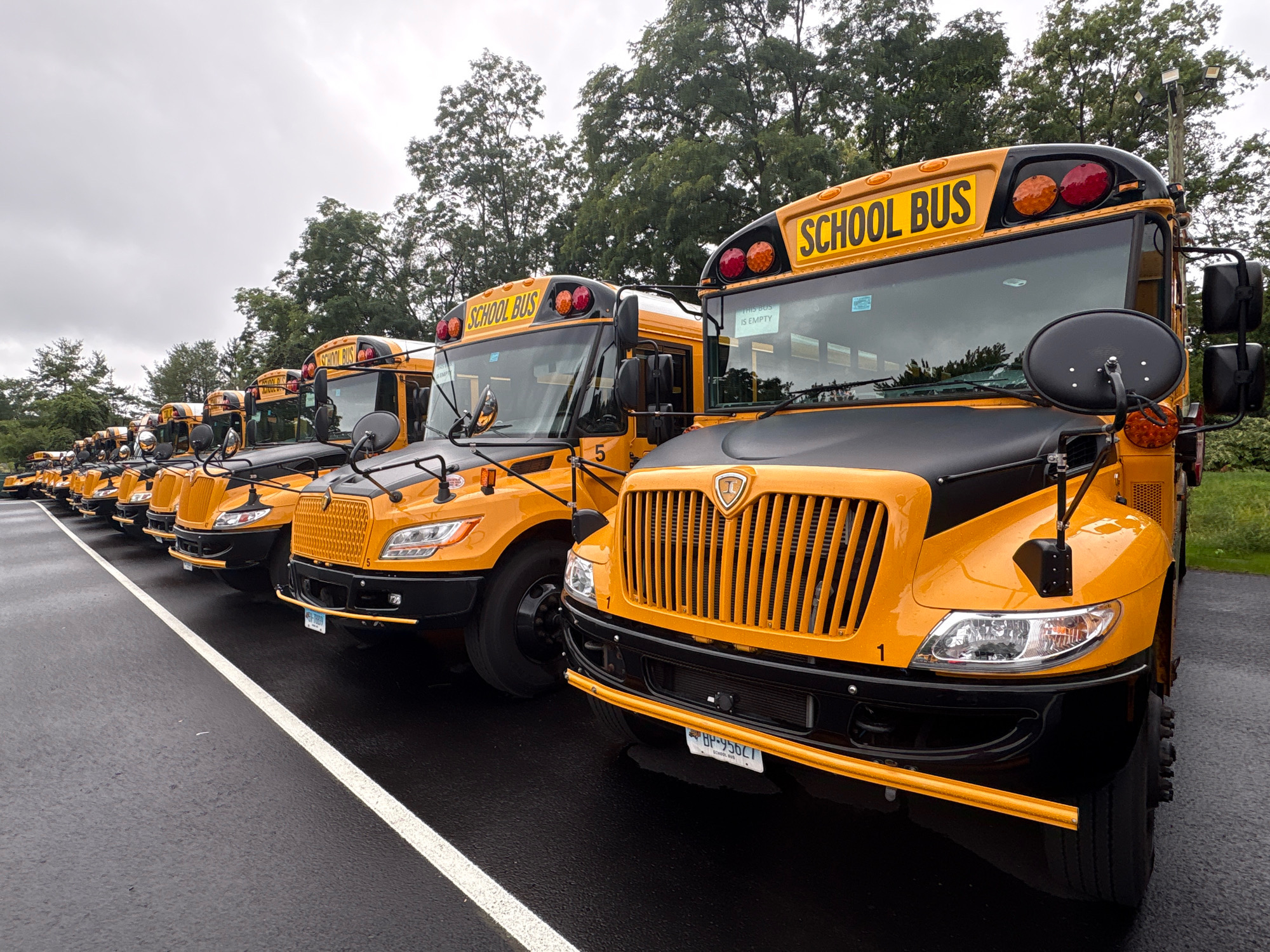 The image depicts a row of yellow school buses parked on an asphalt surface, likely a lot or a road, with a white line marking a lane. The buses are lined up from foreground to background, with the closest bus prominently featured on the right. The buses have the words "SCHOOL BUS" displayed in yellow lettering on their upper front section. The sky is overcast, and trees are visible in the background, suggesting an outdoor setting. The closest bus has a black grille with vertical bars and a license plate that reads "BP-95627". The overall scene suggests a school bus depot or a staging area.