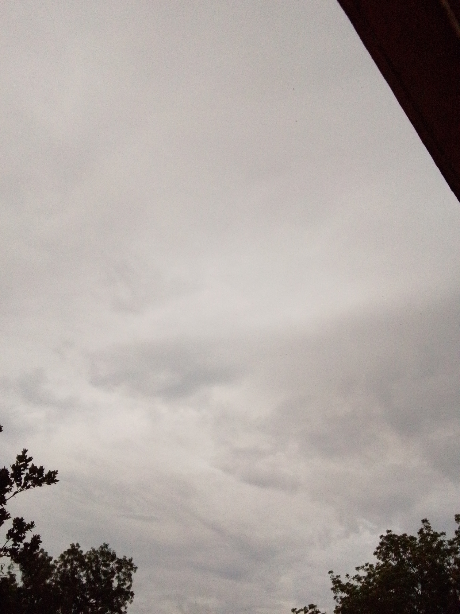 The image captures a cloudy sky from a ground-level perspective, with the tops of trees visible in the foreground. The sky is predominantly a light gray, with some darker, textured clouds indicating overcast conditions. On the right side of the image, a dark, sloped structure, possibly part of a roof or awning, partially obstructs the sky. The trees are silhouetted against the sky, with dense foliage and branches extending upwards and outwards. The overall impression is one of a subdued, perhaps pre-rainy atmosphere. The location is given as Unknown, Unknown.