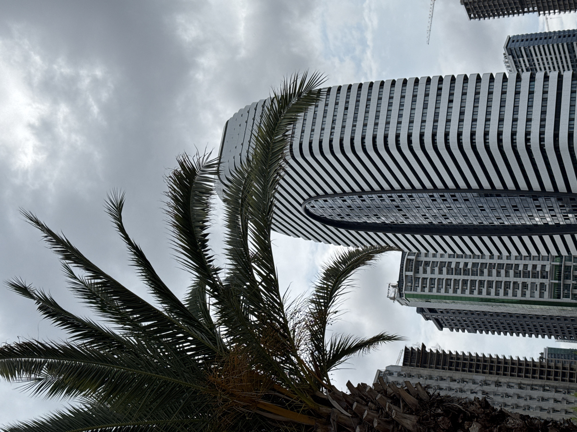 A low-angle shot captures a cluster of modern buildings against an overcast sky, with a prominent palm tree in the foreground. The central building, a striking skyscraper with a curved, wavy facade of black and white horizontal bands, dominates the composition. To the left of this main structure, other buildings are visible, including a partially constructed high-rise that reveals its concrete skeleton. Further to the right, another building with a dark, patterned facade stands tall. The palm tree, with its dark green fronds, partially obscures the view of the buildings. The overall scene suggests an urban environment, likely Batumi, Georgia, known for its contemporary architecture and coastal location. The cloudy sky indicates potentially inclement weather.