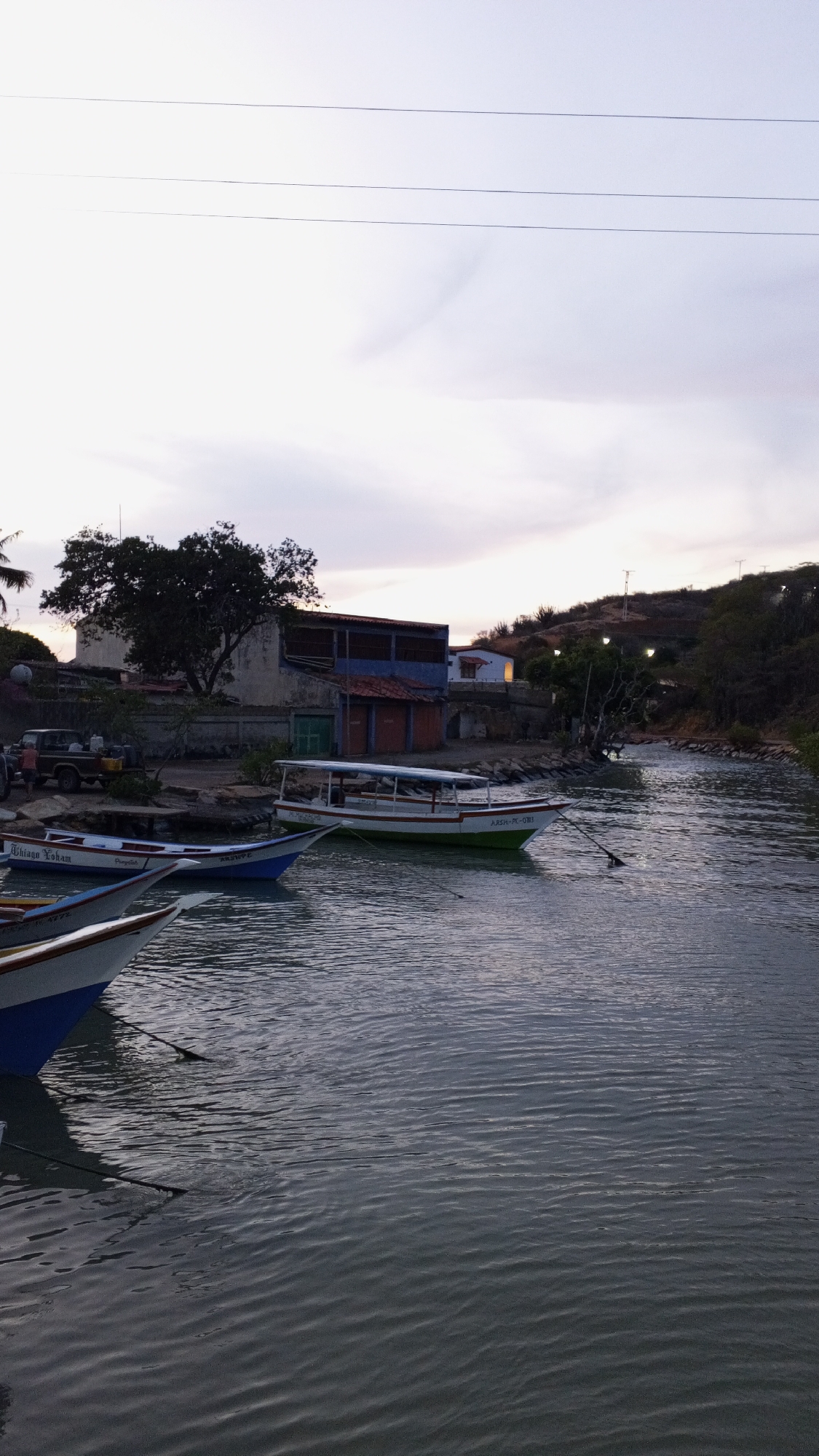 The scene depicts a body of water in Pedro González, Venezuela, where several boats are moored. The foreground shows sections of two boats with blue and white paint. A larger, predominantly white boat with a green stripe sits further back. In the background, there is a building with a blue roof and a nearby tree. The water appears calm with visible ripples. The sky is overcast, suggesting either early morning or late evening. Behind the building, there is a hint of a hillside. A car is parked to the left of the building.