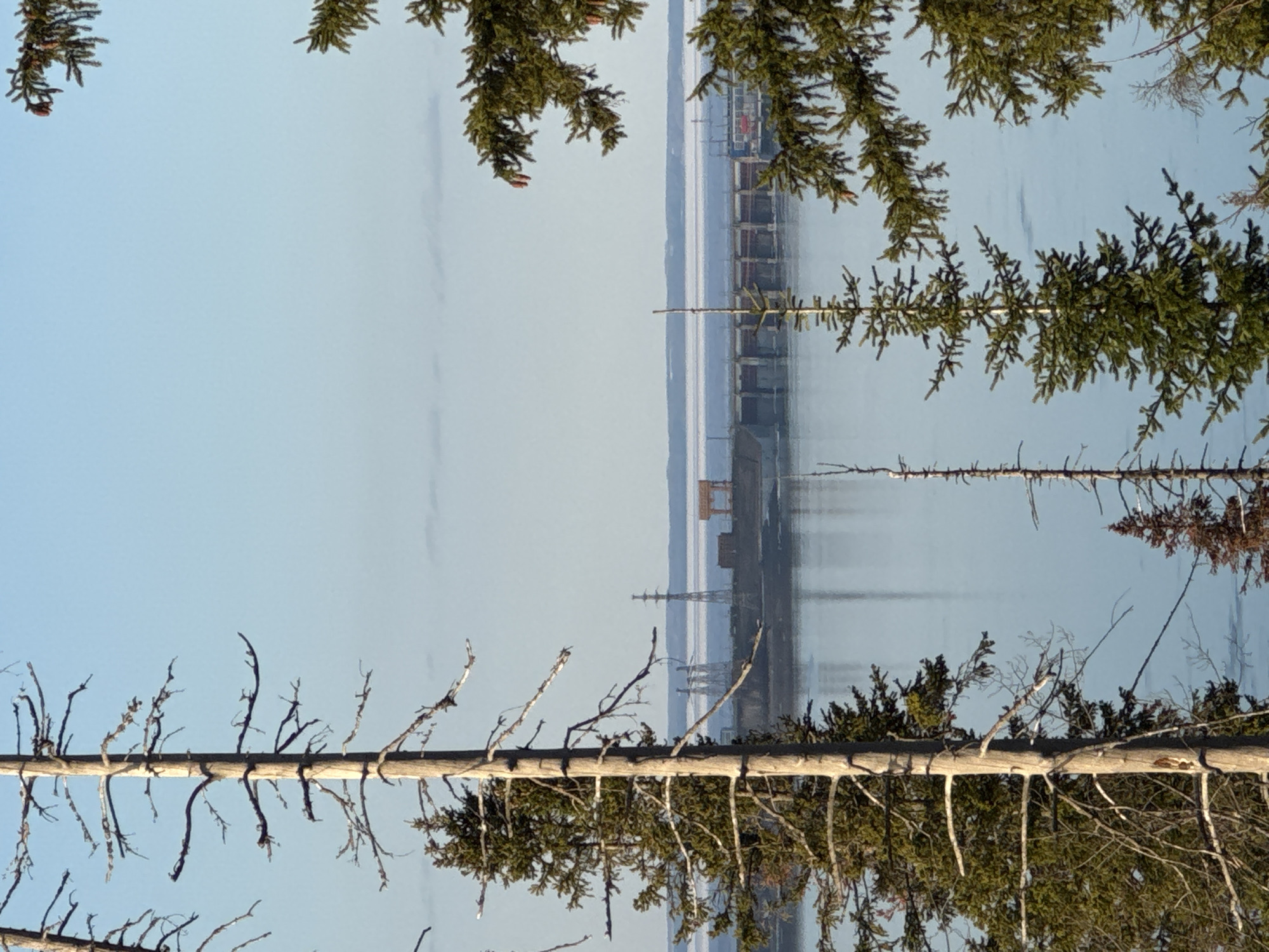 A landscape view framed by trees shows a body of water under a pale blue sky. In the distance, there's a structure extending into the water, possibly a pier or a bridge. The image appears to be taken from a vantage point through foliage, giving the impression of looking through the trees towards the water and distant structure. The photo may have been taken in the city of Chaykovsky, Russia.