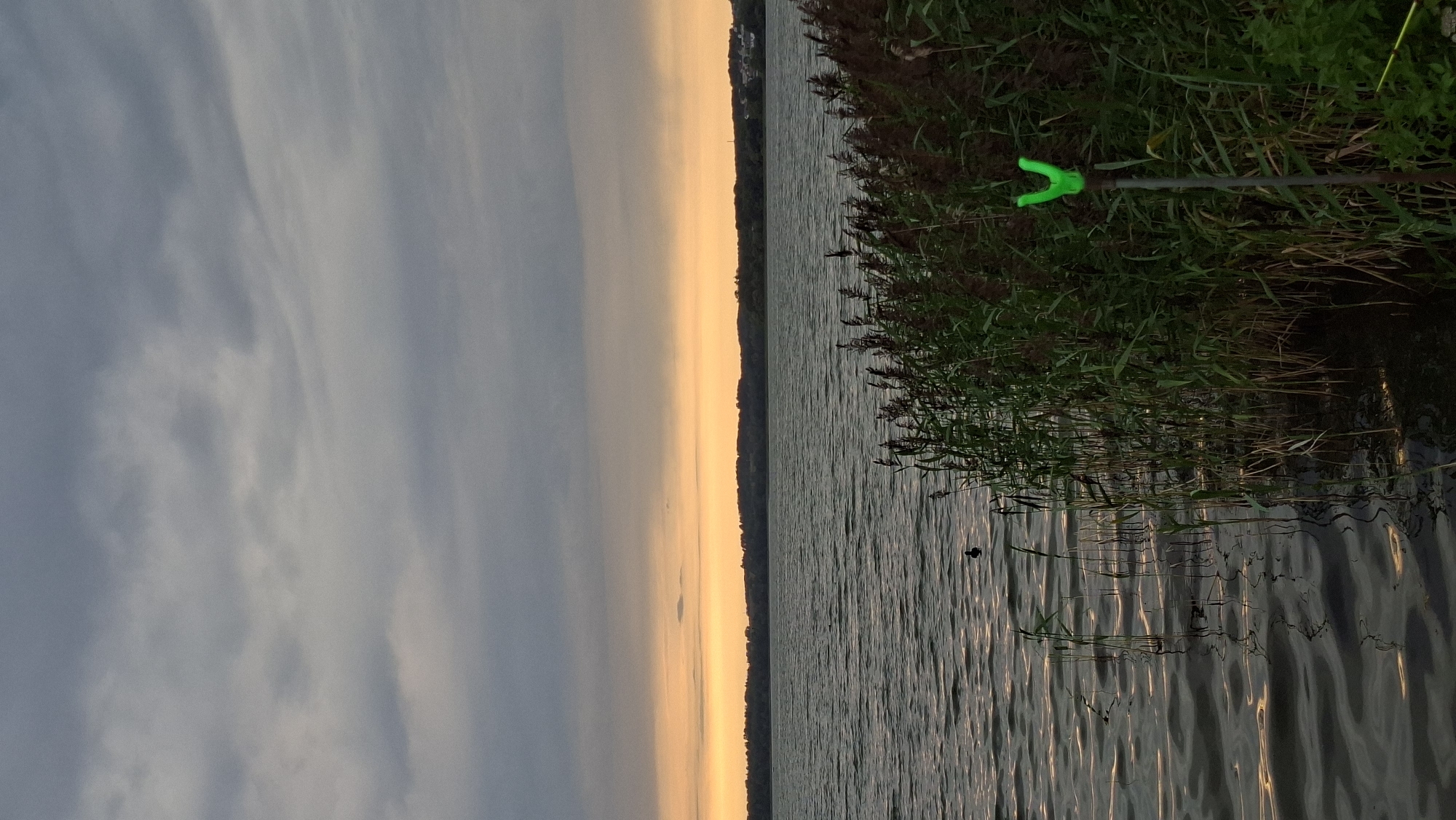 An outdoor scene captures a body of water during twilight. The sky is overcast with dark grey clouds in the upper portion and a band of orange light near the horizon. The water has gentle ripples, reflecting the subdued light. Along the right bank of the water, tall reeds and other vegetation grow densely. A single black duck is visible swimming on the water in the middle distance. In the foreground, to the right, a green fishing rod holder is propped up by a grey pole amongst the reeds. The distant shoreline is lined with a dark band of trees, beyond which a few buildings are faintly visible. The overall impression is one of a tranquil natural setting at dusk. The location is identified as Lake Myastro, Myadzyel, Belarus.