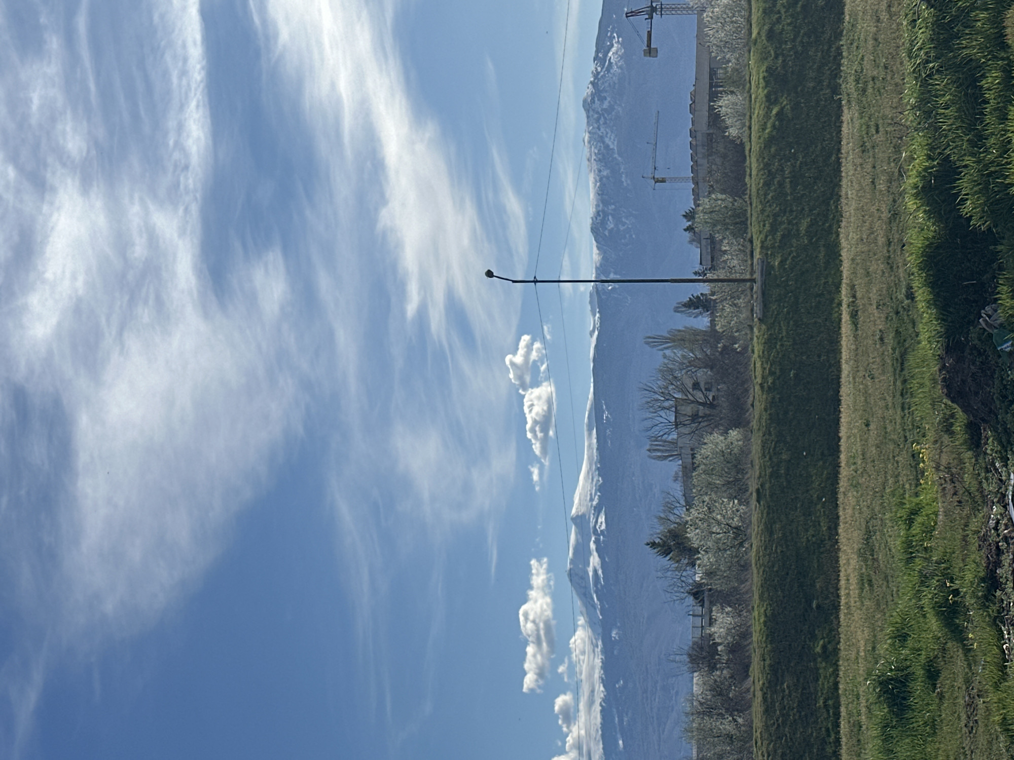 The image shows a landscape with a mountain range in the background, partially covered with snow. In the foreground, there's a grassy field and a row of trees. A utility pole is visible. Above, the sky is blue with wispy clouds. Cranes are also visible. The location is likely near Sofia, Bulgaria, given the mountainous landscape and common elements of urban development.