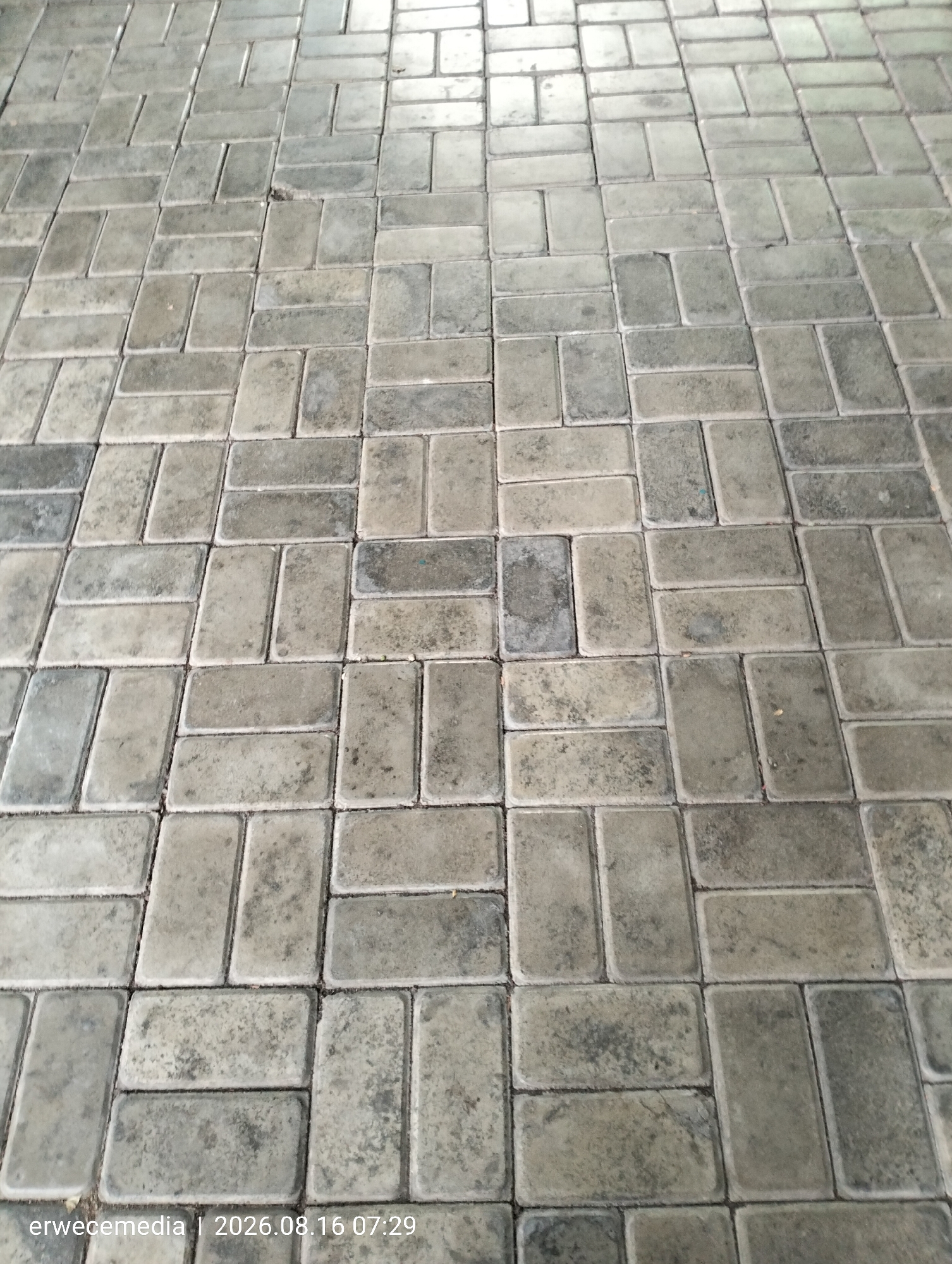 The image shows a close-up, angled view of a paved walkway or ground surface in Imogiri, Indonesia. The surface is composed of rectangular interlocking concrete pavers in varying shades of gray, arranged in a repeating pattern that creates a basketweave effect in some areas and a stretcher bond in others. Some of the pavers show signs of wear and slight discoloration, with minor debris or dirt visible in the grout lines and on the surface. The lighting suggests it is daytime. The timestamp "erwecemedia | 2026.08.16 07:29" is overlaid on the bottom left corner of the image.