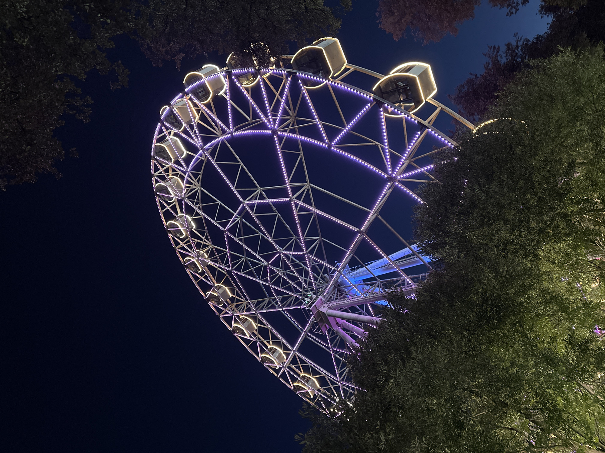The image shows a Ferris wheel at night in the city of Perm, Russia. The Ferris wheel is illuminated with purple and white lights. Several gondolas are visible on the wheel. Trees with dark green foliage are in the foreground, partially obscuring the Ferris wheel. The sky is dark blue, indicating nighttime.