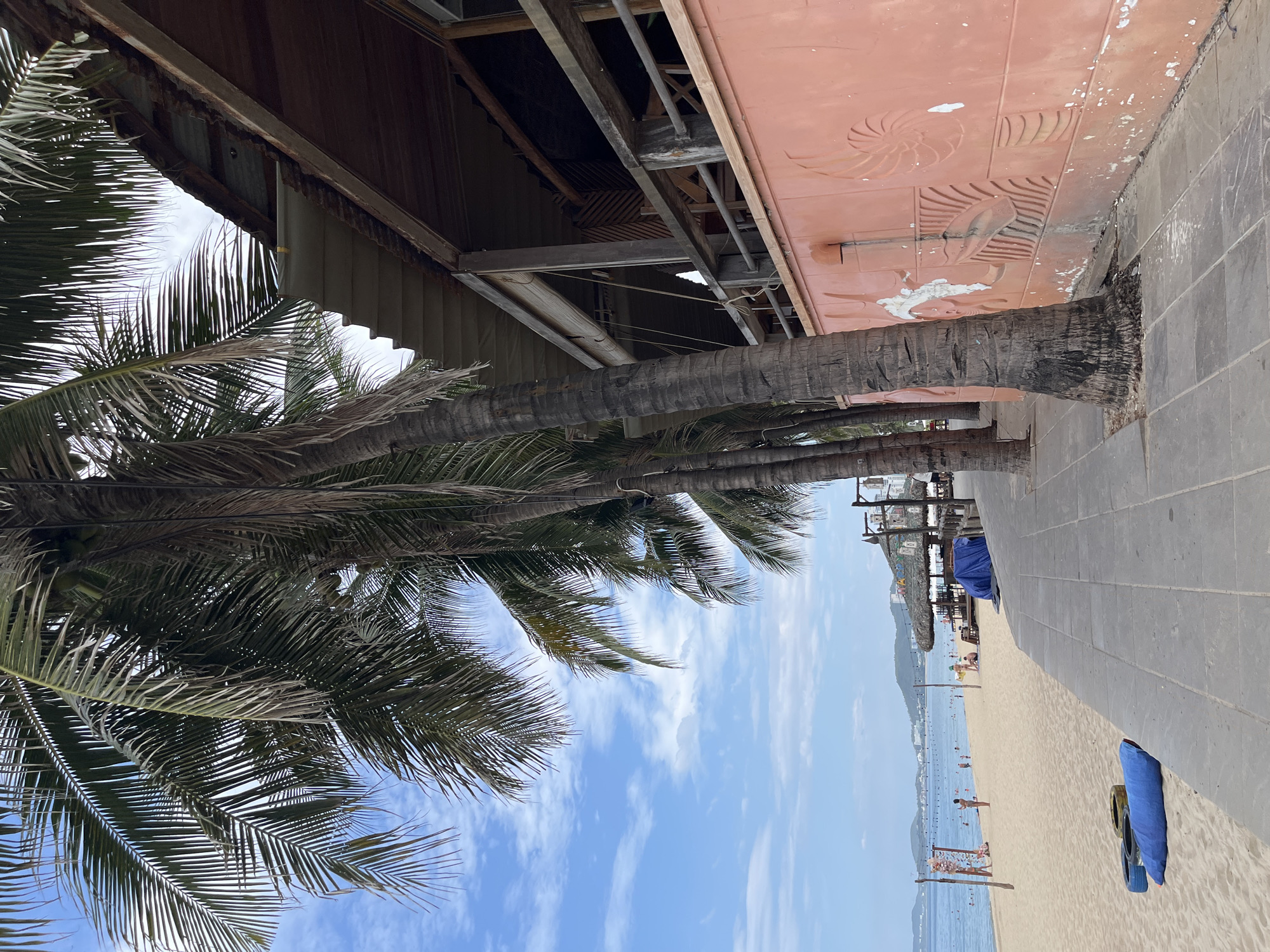 The image captures a view along a beach promenade in Nha Trang, Vietnam. The foreground is dominated by a paved walkway and several mature palm trees, their fronds reaching towards a bright blue sky with scattered white clouds. To the right, a weathered, open-air structure with a rustic wooden design and a corrugated roof is visible, featuring a peach-colored wall adorned with relief carvings of marine life. A dark blue tarp is draped over a seated area within this structure.
Beyond the walkway, a sandy beach stretches out, populated by a few individuals. Some are seen walking or sitting, while others are engaged in activities closer to the water. Beach chairs and volleyball nets are present on the sand. The ocean is calm and blue, meeting a distant coastline characterized by rolling hills and buildings. A few boats are scattered on the water. On the beach near the walkway, a blue cushion-like object and some tire rings are placed on the sand. The overall scene depicts a typical day at a tropical beach resort.