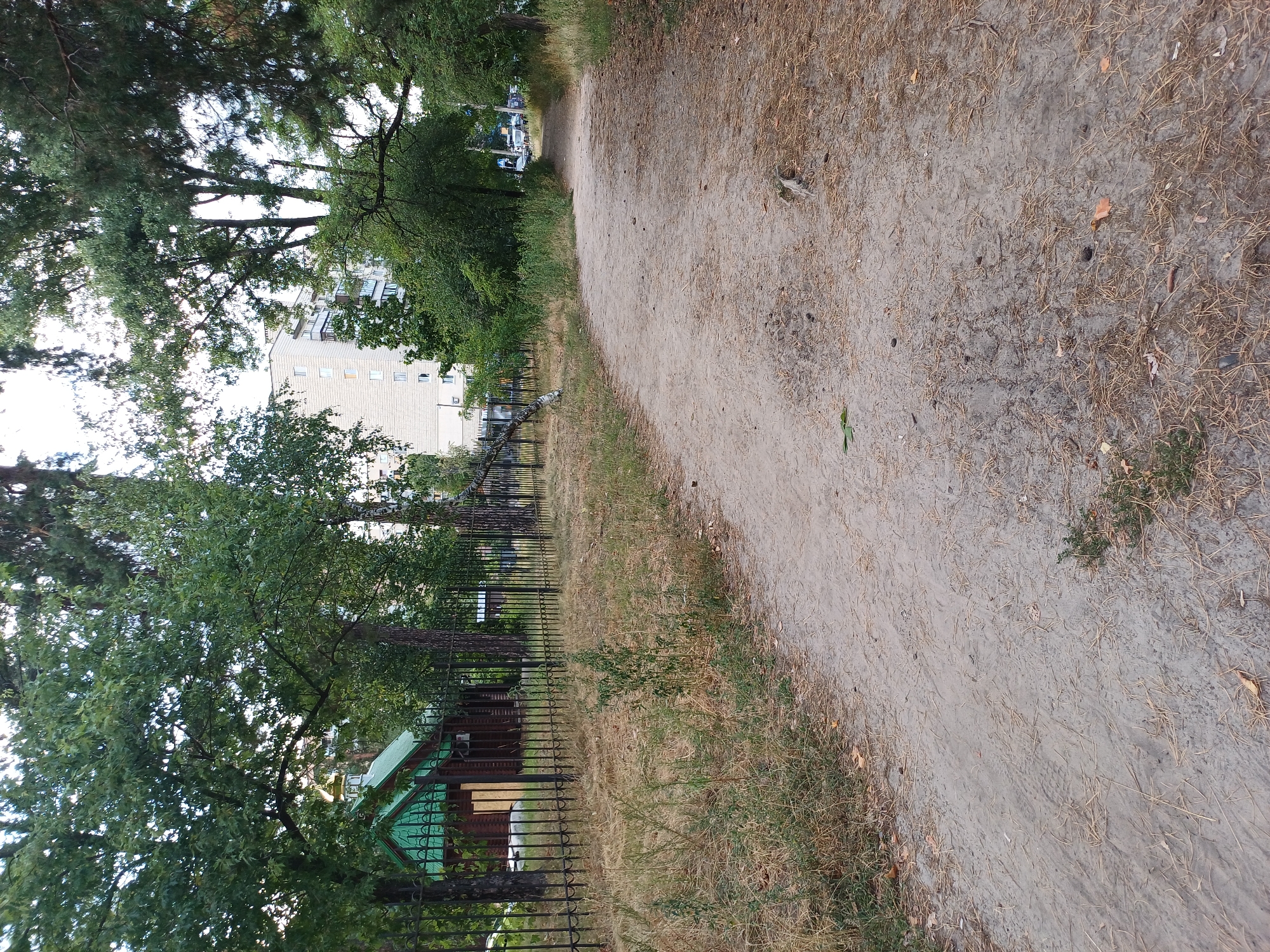 The image depicts a sandy pathway leading into a park-like setting in Kyiv, Ukraine. On the left side of the pathway, a small wooden building with a green roof and a golden dome is visible, enclosed by a black metal fence. Beyond the fence, mature trees with lush green foliage dominate the scene, interspersed with a tall, light-colored apartment building in the background. The ground of the pathway is covered with sand and dry pine needles, with patches of dry grass along the sides. The overall impression is one of a quiet, natural environment within an urban setting.