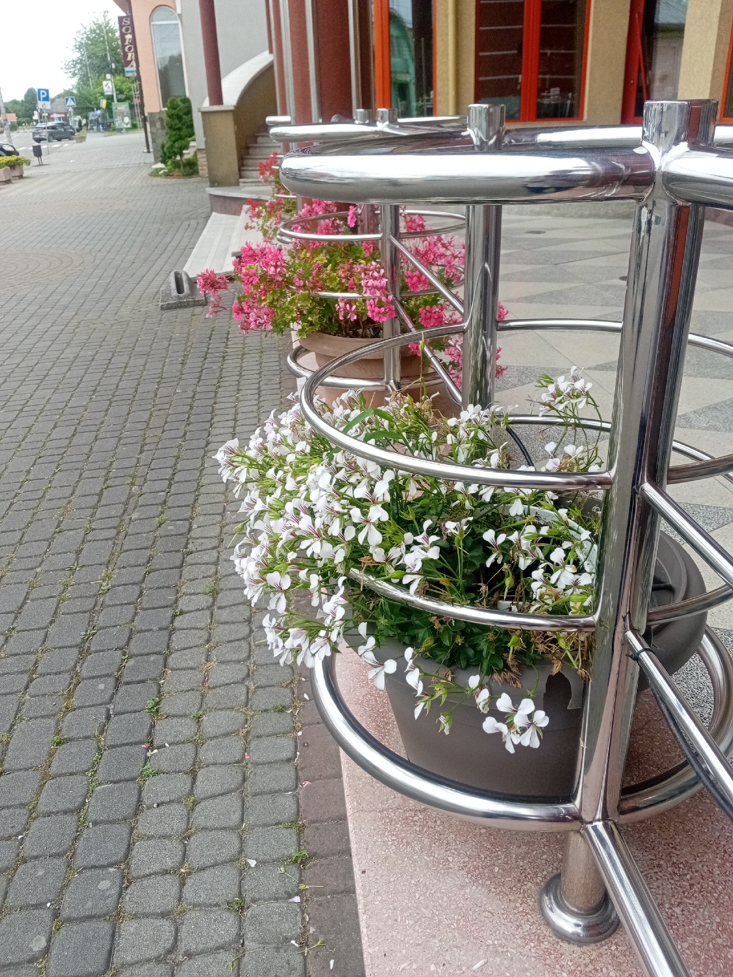 This image shows a street scene in Tiachiv, Ukraine. In the foreground, there are two large planters filled with flowers. The planter on the right contains white flowers, while the planter on the left has pink flowers. Both planters are enclosed in a decorative chrome railing. The planters are situated on a paved walkway, which is composed of grey cobblestones. To the left of the walkway, a street is visible with a few cars and pedestrians. In the background, there is a building with an arched entrance and red doors. The sky is overcast.