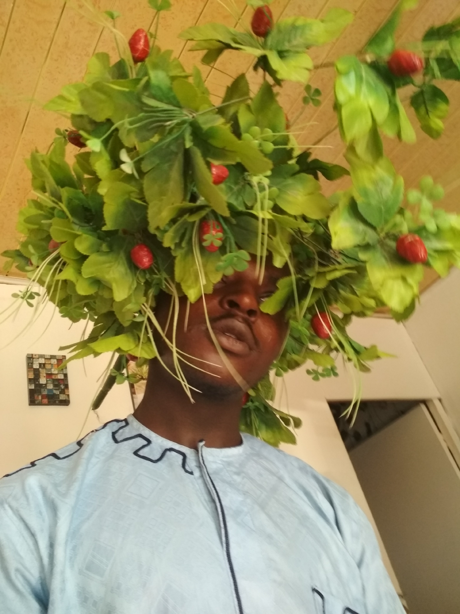 The image shows a person indoors wearing a light blue patterned tunic with a dark blue trim around the neckline. They are also wearing a large, leafy headdress adorned with small red, fruit-like objects. Behind the person, there is a white wall with a small, square, framed piece of artwork composed of small, colorful tiles. Further in the background, there's an open doorway leading to another room. The person's location is in a room, the specific address and city details are not discernible from the image.