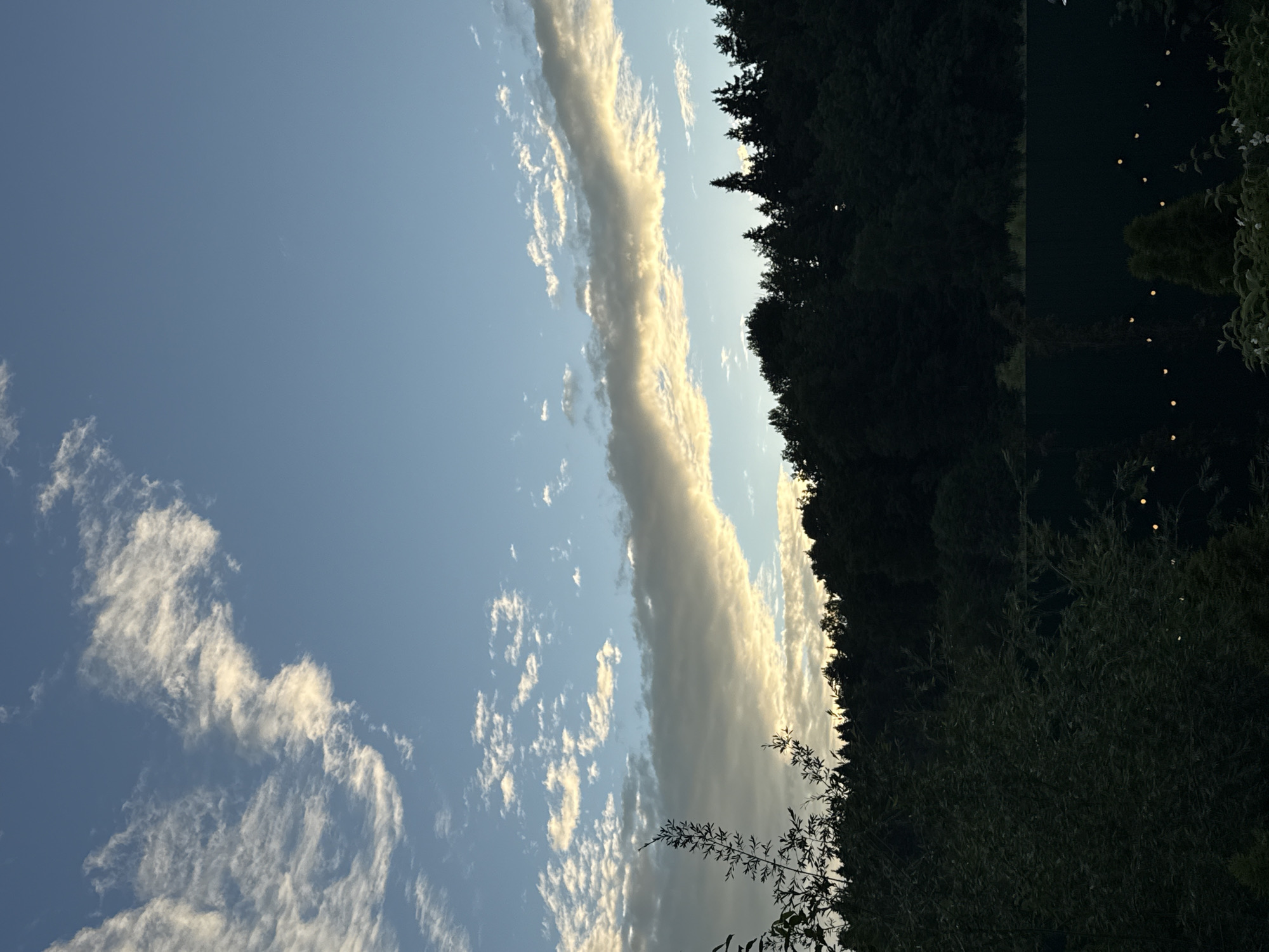 The image captures a serene evening scene in Khimki, Russia, likely during the golden hour due to the warm, soft lighting. The primary subjects are the sky, a body of water, and a dense line of trees forming the treeline.
The sky is a dominant element, displaying a gradient of blue with scattered clouds. A prominent, long cloud stretches diagonally across the frame, catching the sunlight and appearing in shades of white and pale yellow. Lower clouds are also visible, appearing wispy and illuminated from below.
To the right of the sky, a dark, dense forest forms a stark silhouette against the lighter sky. This treeline appears to be on the edge of a body of water, which is visible in the lower right portion of the image. The water is dark and reflects some lights, suggesting it could be a lake or river. A series of small, glowing orbs are visible in the distance on the water, possibly decorative lights or distant boats.
In the foreground, on the right side, the branches of leafy bushes are visible, adding a natural framing to the scene. The overall impression is one of tranquility and natural beauty, enhanced by the soft, warm light of dusk. There is no visible text in the image.