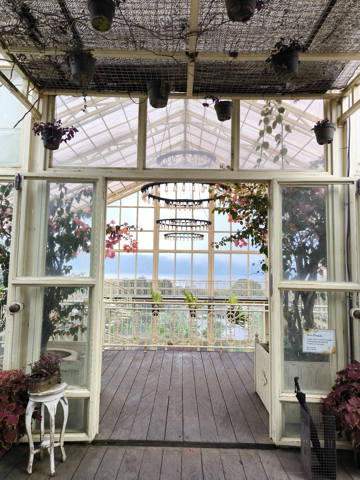The image depicts the interior of a greenhouse-like structure in Candikuning, Indonesia. The structure is characterized by large, white-framed windows and a transparent roof, allowing natural light to illuminate the space. Hanging potted plants are suspended from the ceiling. The floor is made of dark wooden planks. An open doorway leads to an outdoor balcony with an ornate white railing, overlooking a landscape with green foliage and a body of water in the distance. A three-tiered chandelier hangs in the center of the room. Floral arrangements and plants are visible both inside the greenhouse and outside on the balcony. A small white table with a potted plant sits to the left of the doorway. A black umbrella rests against a window pane with a sign posted on it.