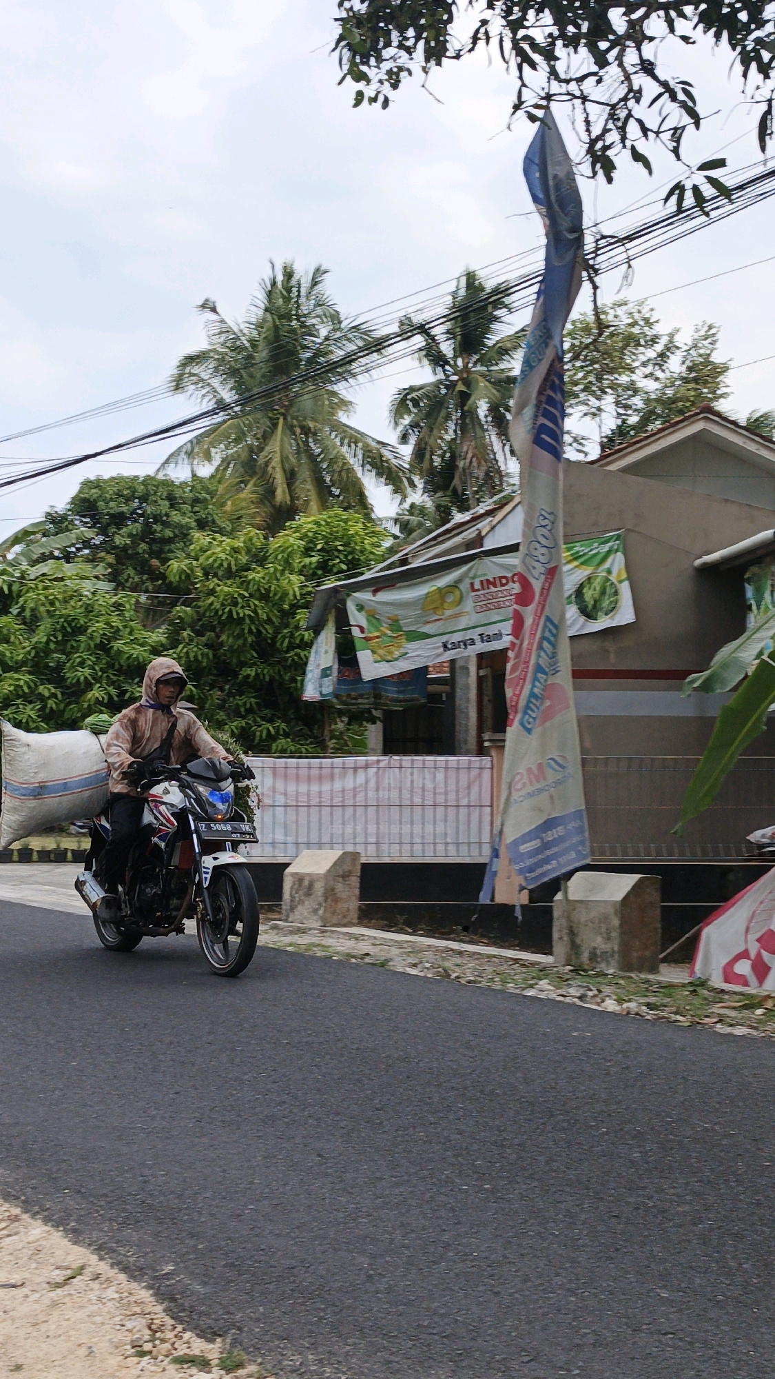 A person rides a motorcycle carrying a large white sack on the back, traveling on a paved road. The person is wearing a tan hooded jacket and dark pants. The motorcycle is white and red with a blue headlight. The setting appears to be a semi-rural area with lush green trees and palm trees in the background. There is a building with banners hanging on it to the right of the road. The sky is cloudy. Based on the context of Cintaratu, Indonesia, this scene likely depicts a local resident transporting goods.