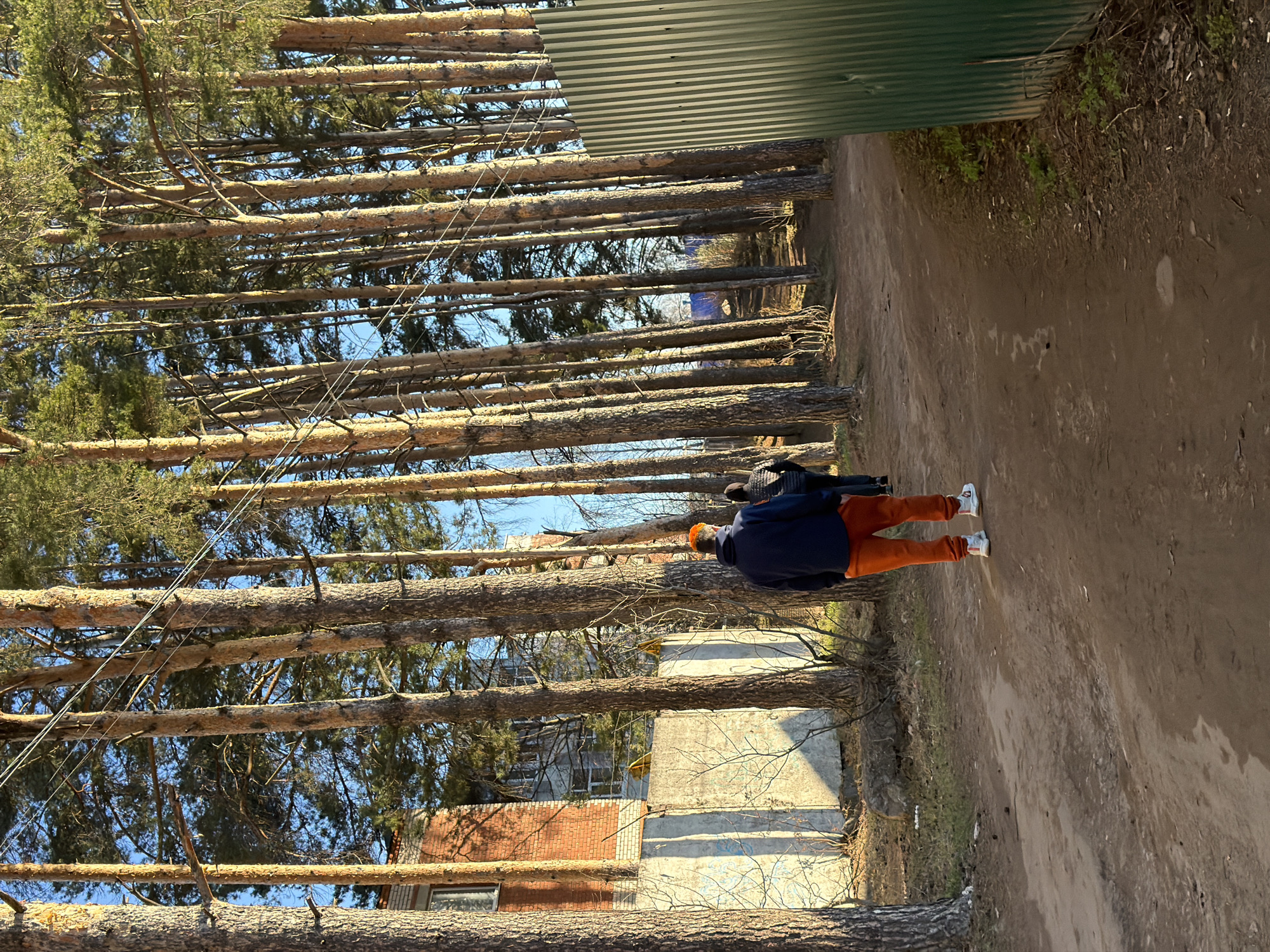 A street scene in Chaikovsky, Russia, features a dirt path flanked by a dense row of tall pine trees on the left. A corrugated green metal fence runs along the right side. Two individuals are walking along the path. The first is wearing a dark blue jacket and orange pants, and the second is wearing dark-colored clothes. A brick and concrete building is partially visible behind the trees on the left. Power lines run through the trees. The sky is blue.