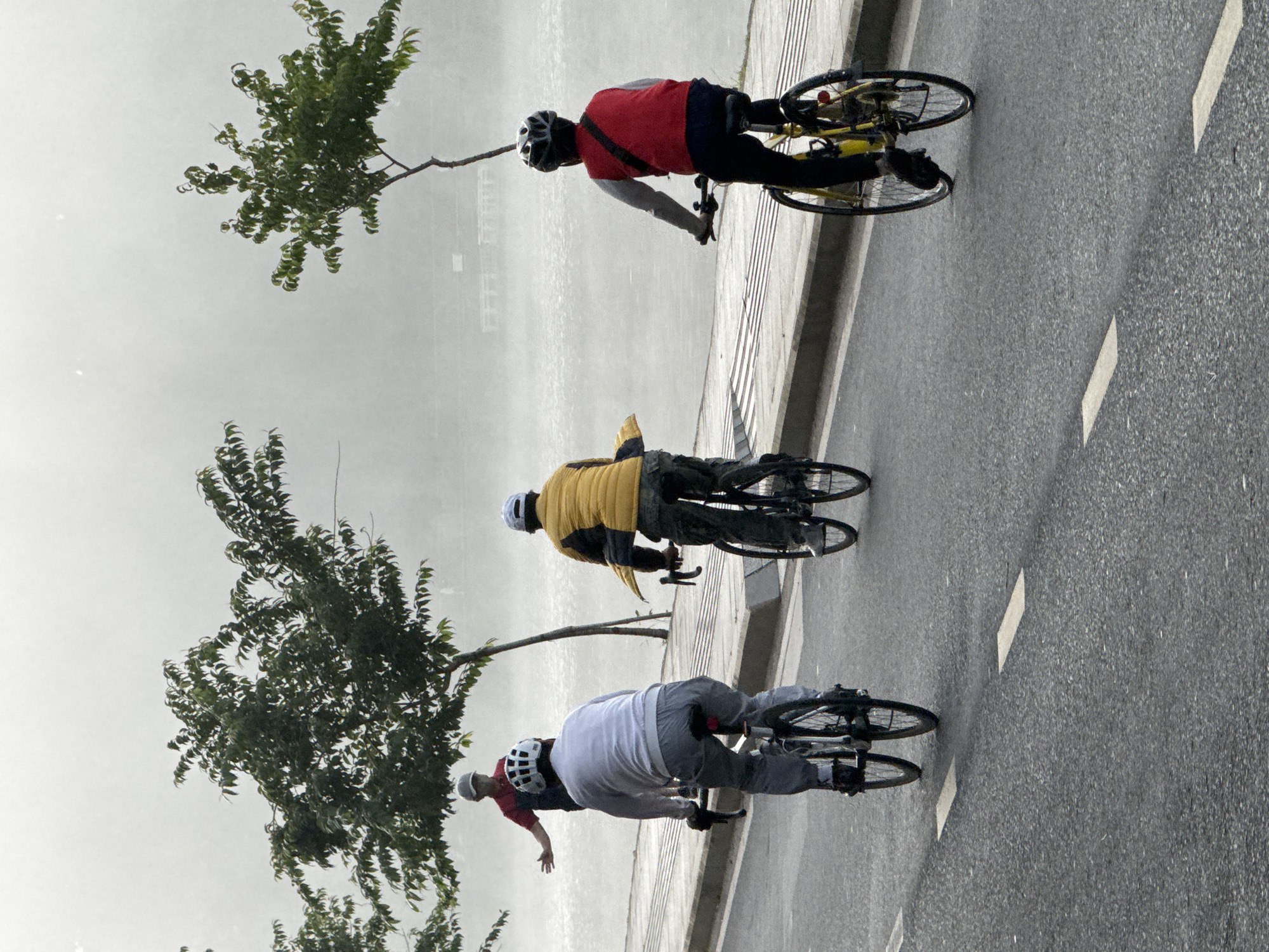 The image depicts a foggy morning in Da Lat, Vietnam, likely along the Xuan Huong Lake. Three cyclists are shown from behind, navigating a paved road adjacent to a walkway bordered by trees and the misty expanse of the lake. The cyclist in the foreground is wearing a white long-sleeved shirt and grey pants, with a white helmet. To their right, another cyclist in a yellow jacket and camouflage pants is also visible. Further ahead, a third cyclist in a red vest and dark pants is on a yellow bicycle. In the background, a fourth individual, possibly a cyclist, stands on the walkway, extending their right arm as if interacting with the cyclists or gesturing. The atmosphere is tranquil, with the fog obscuring the distant details of the city and the lake, creating a soft, diffused light. The trees lining the walkway appear to be young and have sparse foliage. The road surface is asphalt, marked with white lines, and shows signs of recent use.