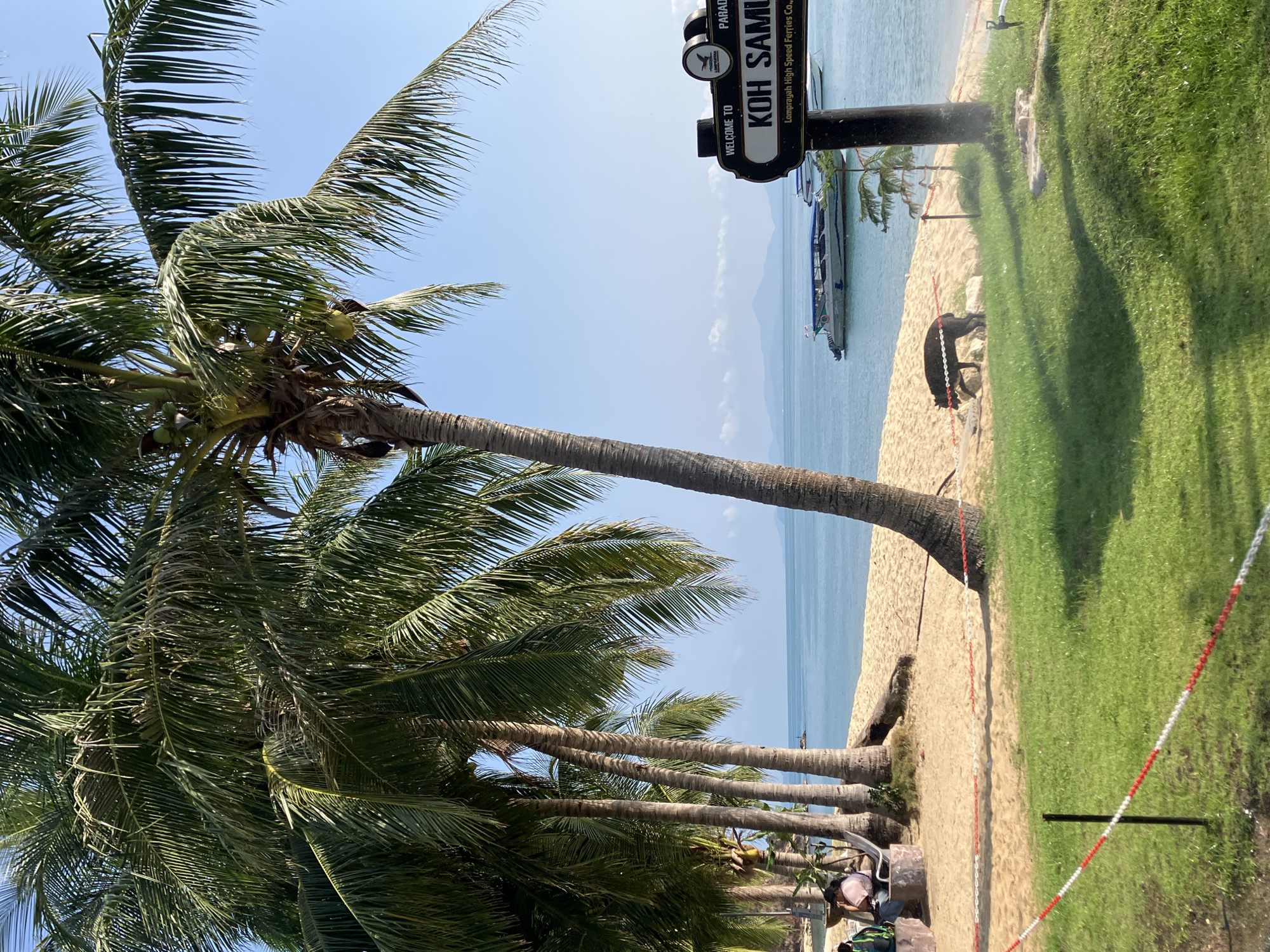 The image presents a beach scene in Baan Mae Nam, Thailand, identified by a “Welcome to Koh Samui” sign. The view showcases a sandy beach adjacent to a turquoise body of water. In the background are boats anchored offshore. Palm trees dominate the left side of the frame. On the right, there's a grassy area bordered by a red and white striped barrier. A dark-colored animal is present on the beach, near the water's edge. In the lower left corner, individuals are seated. The sky is clear and blue.
