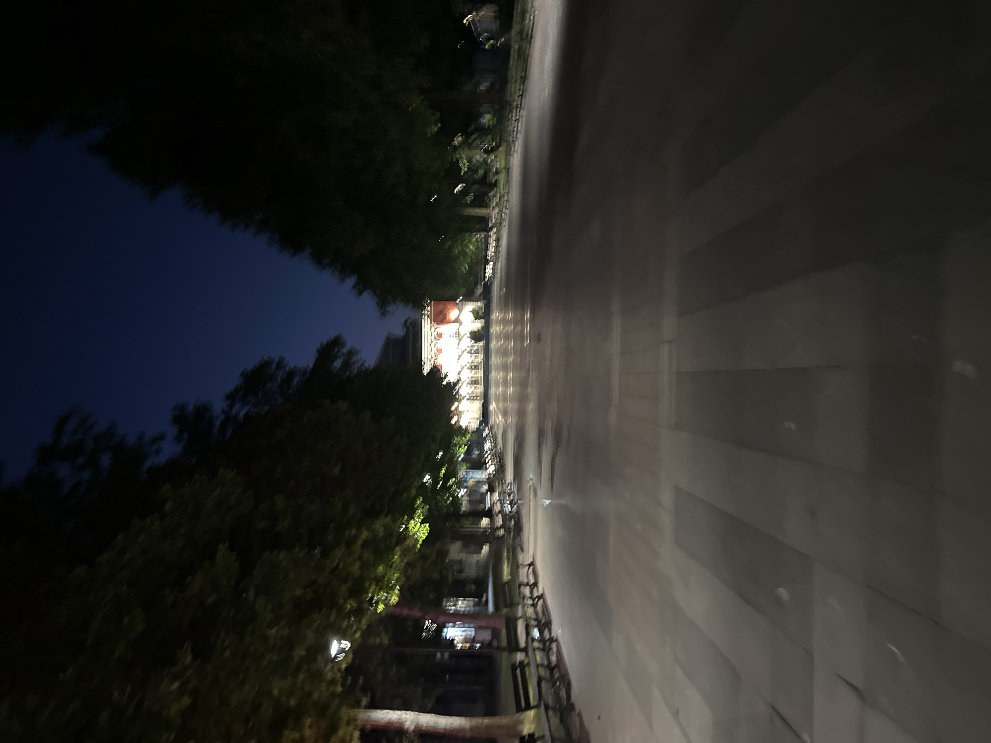 This image depicts a dimly lit promenade at night, likely in Ruse, Bulgaria, given the context. The scene is characterized by a wide, paved walkway with a distinct pattern of rectangular stone slabs. On either side of the walkway are rows of benches, some of which appear to be made of wood and metal. Lush green trees with dense foliage line the promenade, casting shadows and creating a sense of enclosure. In the background, a building with illuminated windows and a red-tiled roof is visible, suggesting it might be a public building or part of a historical complex. The sky is a deep, dark blue, indicative of nighttime. The overall impression is one of a quiet, tranquil urban space after dark.