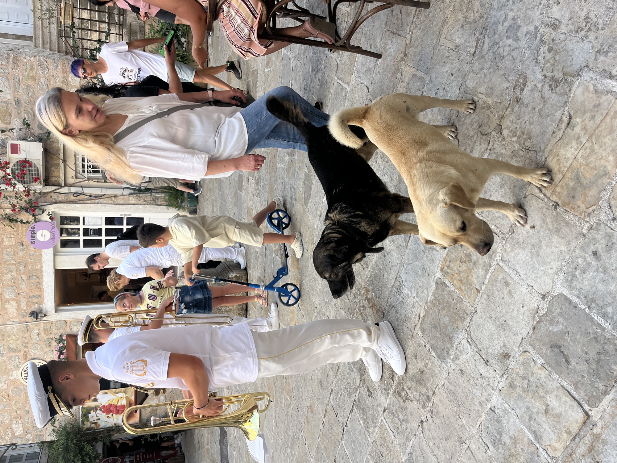 The image captures a street scene in Budva, Montenegro. A small band of musicians in white uniforms marches down a stone-paved street, each carrying a golden trumpet. They are followed by a few children on scooters. Spectators line the sides of the street, including a woman in a white shirt and jeans sitting with legs in front of her. Two dogs, one black and one tan, are interacting near the woman's legs. Behind the woman, there is a building with a white door and a purple sign that reads "Simple... Coffee & More". Other people are standing or walking around in the background.