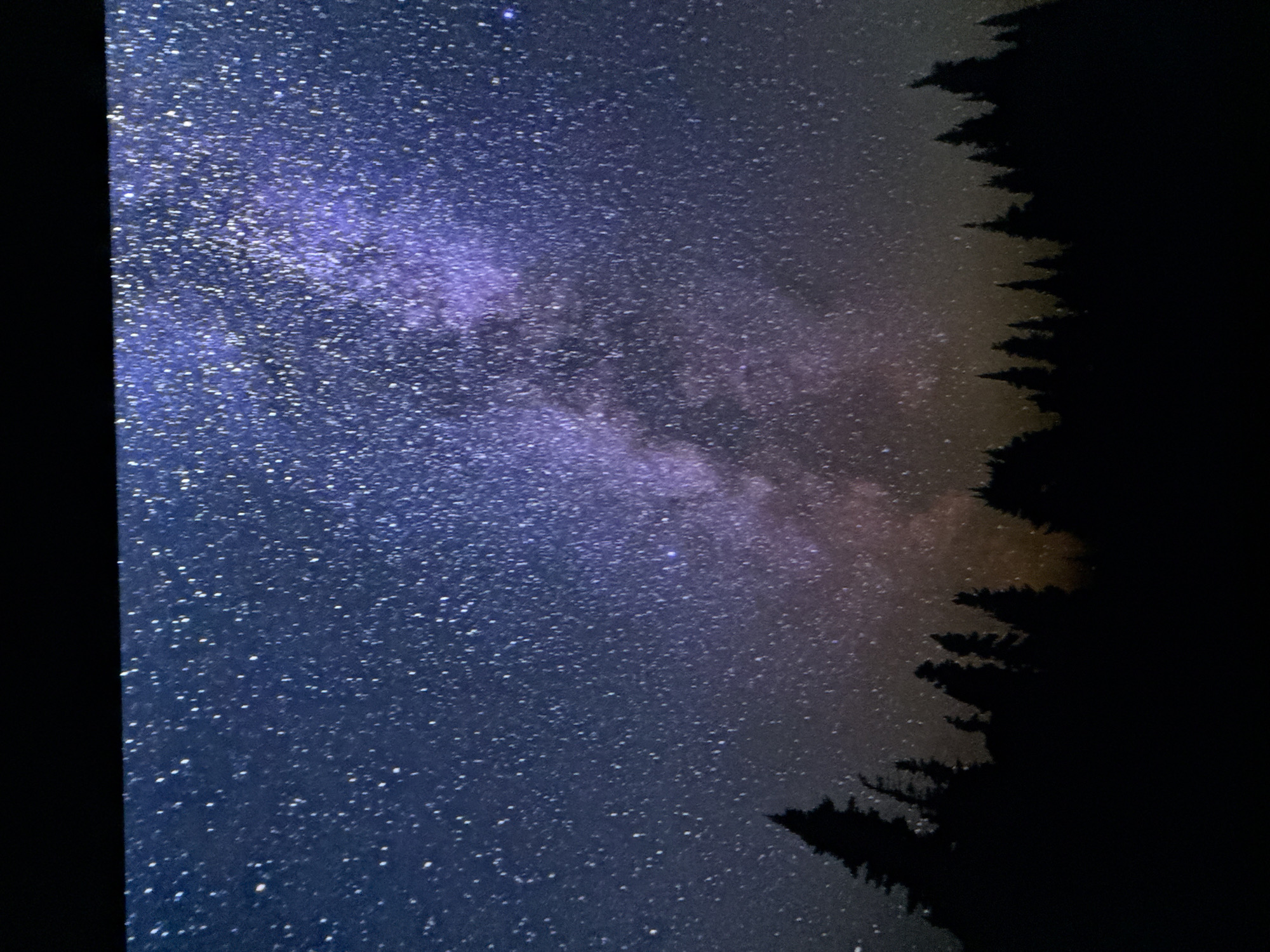 The image depicts a silhouette of a dense pine forest against a vibrant night sky filled with stars. The Milky Way galaxy is prominently visible, arcing across the sky with its characteristic band of light, tinged with purple and pink hues. The stars are scattered across the dark expanse, some appearing brighter than others. The foreground is dominated by the dark, jagged silhouettes of numerous pine trees, their tops reaching towards the celestial display. The overall impression is one of a remote, natural landscape bathed in the light of the cosmos. There is no indication of urban elements or any specific location within Saratov, Russia. The scene is purely natural and depicts a clear night sky over a forest.