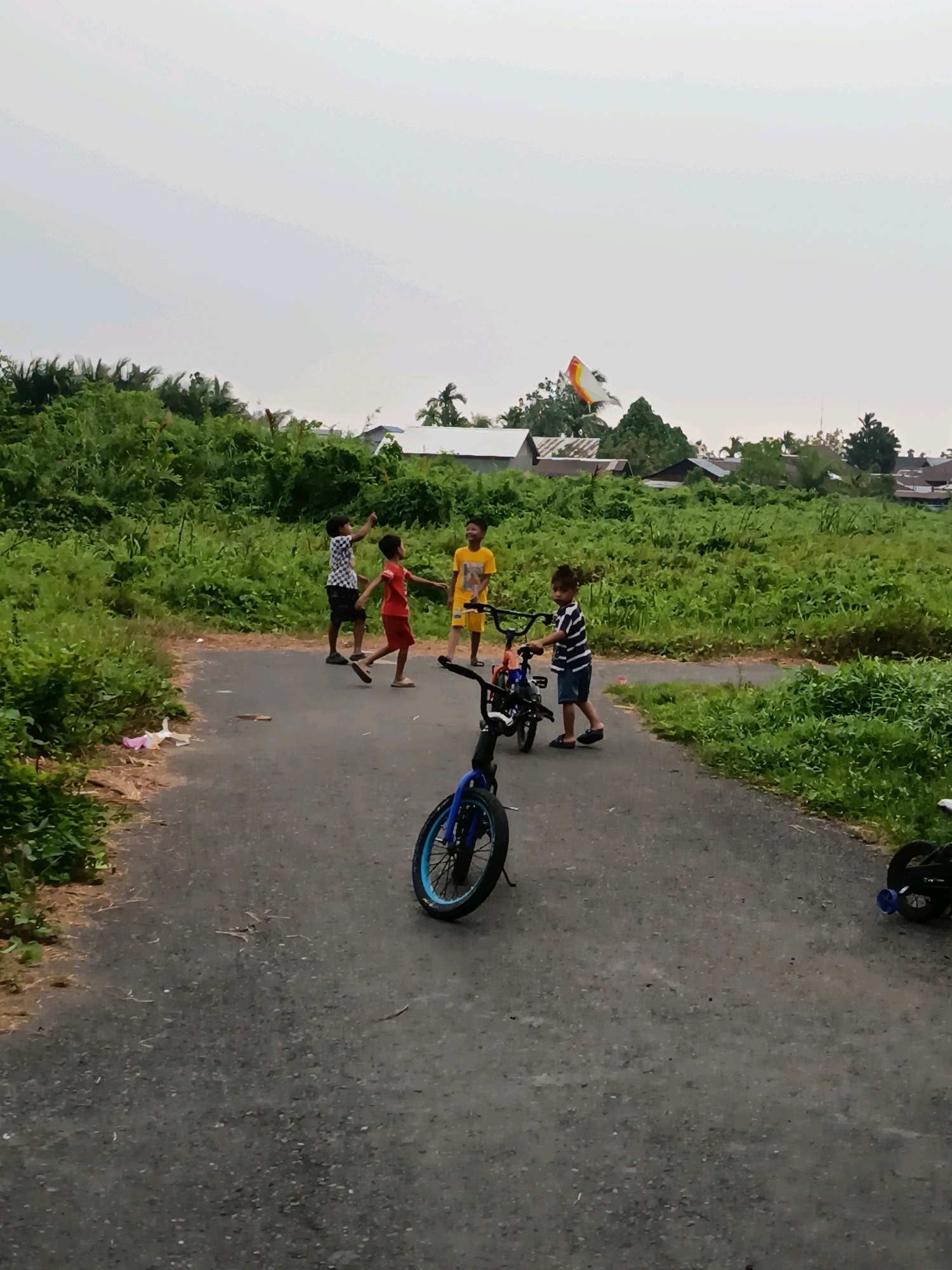 In Banjarmasin, Indonesia, on a cloudy day, four young boys are playing on an asphalt road surrounded by dense green vegetation. Two bicycles are present, one in the foreground with a blue frame and the other further back, partially obscured. One boy in a checkered shirt and black shorts is interacting with the partially obscured bicycle. Another boy in a red t-shirt and shorts is in motion, appearing to run or dance. A third boy in a yellow t-shirt and shorts is observing the scene, and a fourth boy in a striped t-shirt and blue shorts stands near the partially obscured bicycle, also observing. In the background, houses with dark roofs are visible amidst the foliage, and a colorful kite flies in the pale sky.