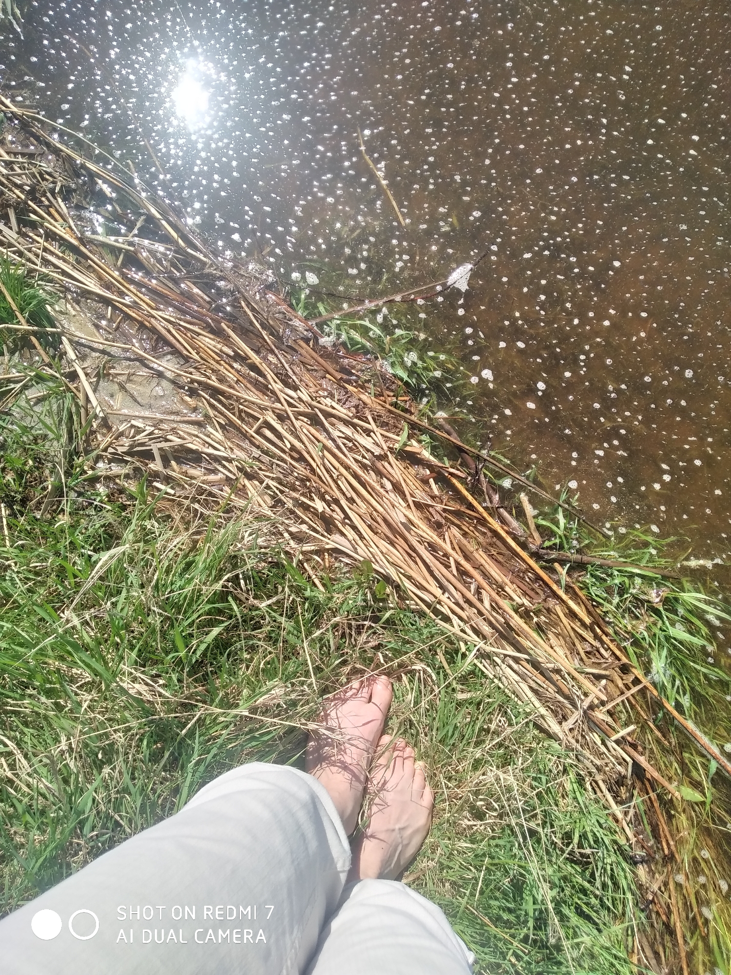 A person stands barefoot in grass near the edge of a body of water. The water is murky with numerous small, white bubbles on the surface. Reeds and other vegetation line the edge of the water. The person wears light-colored pants. The location is Okhansk, Russia.
