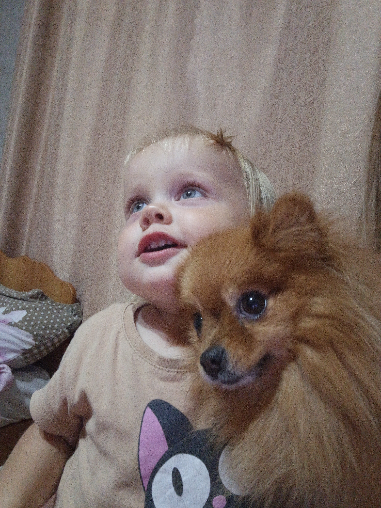 In Medvedyovka, Russia, a close-up shot captures a young child with blond hair and blue eyes snuggled against a fluffy orange Pomeranian dog. The child, wearing a light-colored t-shirt with a cartoon cat design, gazes upwards with a slight smile. The dog, partially obscuring the child's face, has dark eyes and a wet nose, with its fur appearing soft and voluminous. The background features a textured, beige curtain, creating a warm and intimate atmosphere. The lighting is soft, highlighting the subjects and their playful interaction, suggesting a domestic setting.