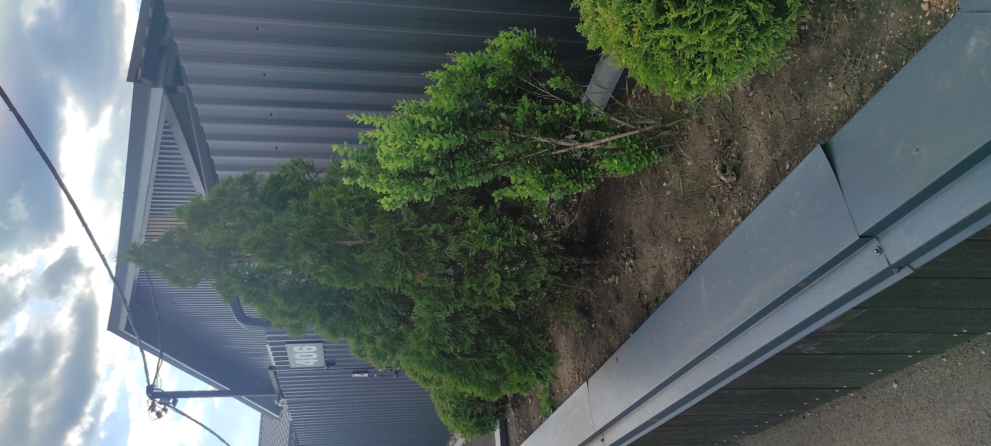 The image depicts an outdoor scene adjacent to a modern building. The building features dark gray corrugated metal siding and a sloped roof with visible horizontal supports. In front of the building, a planter box contains several green bushes, including what appears to be a row of coniferous trees. The ground in the planter is dry and cracked.
To the left of the building, a portion of the sky is visible, with bright white clouds against a bluish hue, suggesting daylight. Power lines and electrical fixtures are also visible against the sky, connected to a pole extending from the building's side.
A notable detail is the house number "406" displayed in light gray numerals on a dark rectangular plaque attached to the building's siding. The planter box itself is constructed of a dark metal material, with its edge running diagonally across the lower right portion of the frame. The overall setting suggests an exterior view of a commercial or residential property. The time of day appears to be daytime, possibly late morning or early afternoon, given the brightness of the sky. The weather seems fair.