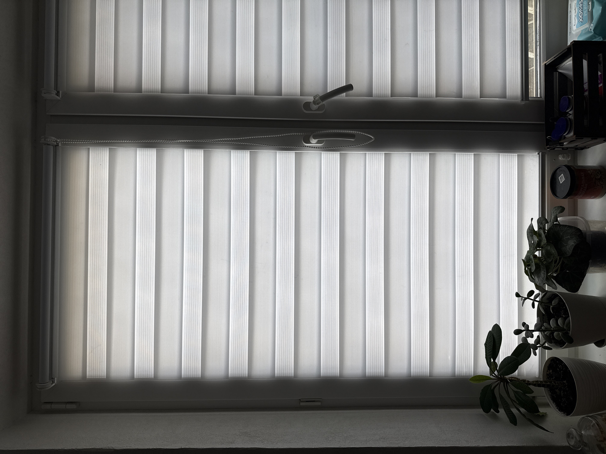 The image depicts a window with closed vertical blinds, viewed from indoors. Two sets of blinds are stacked vertically. To the right of the window, several potted plants are arranged, as well as a black shelf with various items. No people are visible. There is no information suggesting that the scene is in Moscow, Russia.