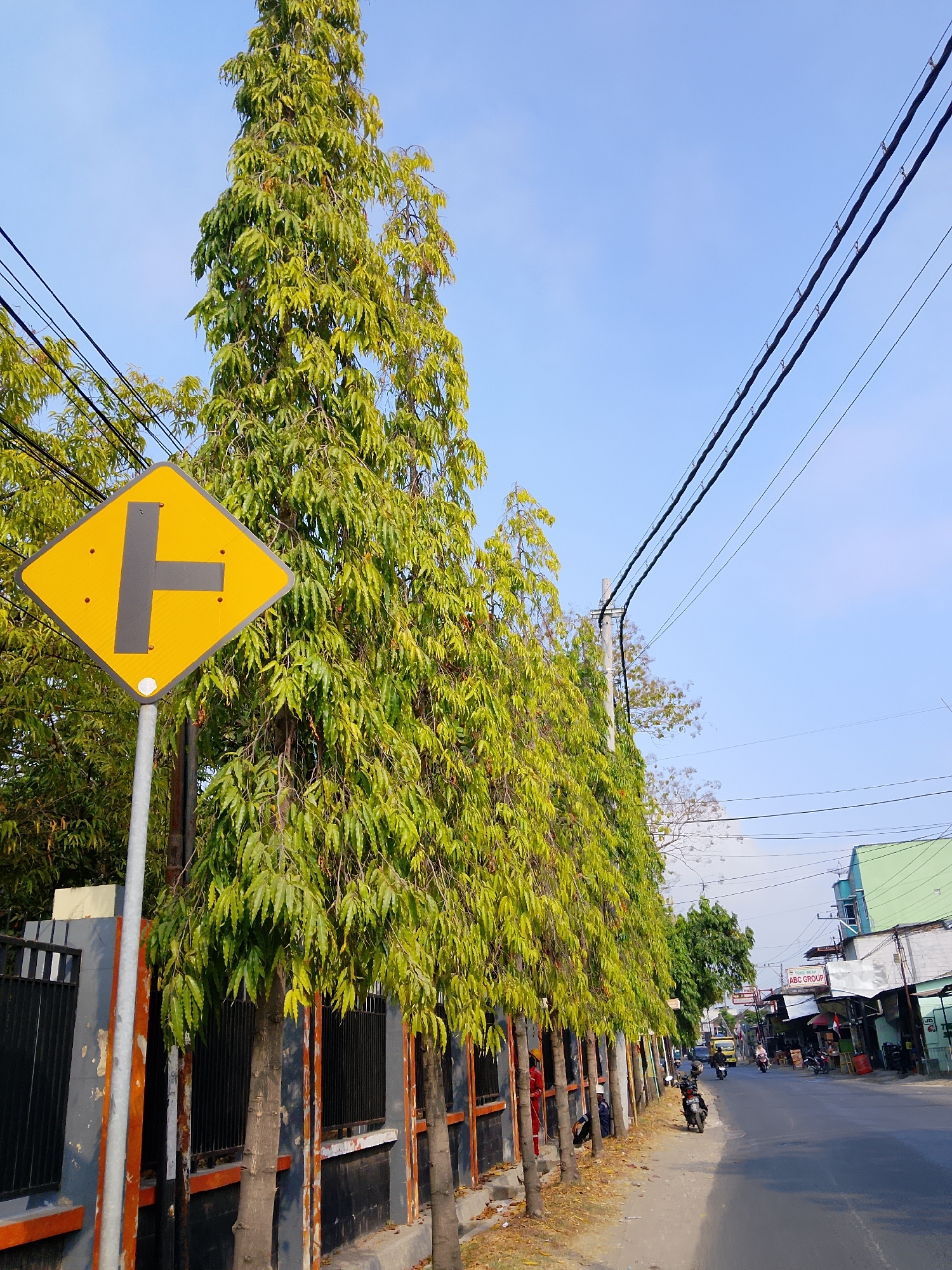 A bright yellow, diamond-shaped traffic sign with a black "T" intersection symbol is mounted on a metal pole on the left side of a paved road. The sign is positioned in front of a row of tall, slender trees with vibrant green foliage. The trees line the left side of the road, casting shadows on the sidewalk. Behind the trees, a black metal fence with orange accents is visible. The road continues into the distance, with several buildings and businesses lining the right side. A few motorcycles are seen on the road, some with riders. The sky is clear and blue. The scene appears to be in a built-up area, likely a town or city, given the presence of the road, buildings, and traffic signs. The location is identified as Ngelo, Indonesia.