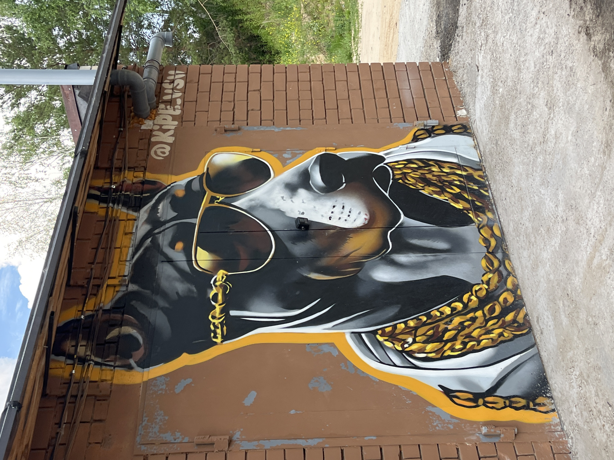 This image shows a graffiti mural of a dog wearing sunglasses and a gold chain, painted on the side of a building. The building appears to be a garage or storage unit with a brick facade and a brown metal door. The graffiti is detailed and colorful, with the dog's face rendered in shades of black, white, and yellow. The dog is depicted with a serious expression and appears to be looking directly at the viewer. The mural is framed by a yellow outline, and the artist's signature, "@KIPE.VSV", is visible on the wall to the right of the dog. The surrounding environment is an outdoor setting with trees and a cloudy sky visible in the background. The overall impression is one of urban art and creative expression. The location of this graffiti is identified as Zelenodol'sk, Russia, specifically on the side of a building at the address 19 Chkalova Street.