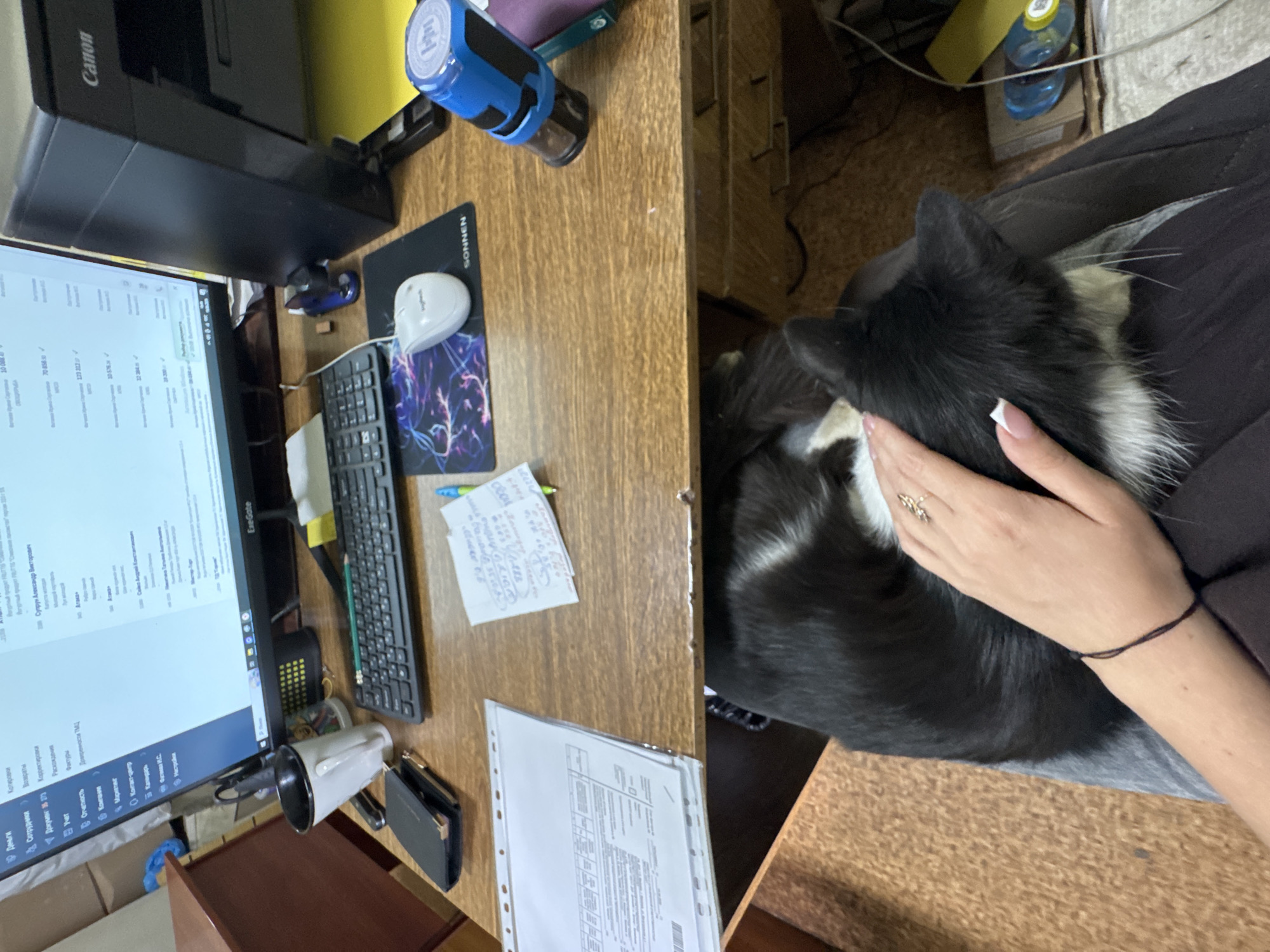 The image depicts a close-up view of a wooden desk with various office supplies. In the foreground, a person's hand with a ring on their finger is gently stroking a black and white dog resting on their lap. To the left of the hand is a stack of documents in plastic sleeves. On the desk, a white mug, a black wallet, a keyboard, and a mousepad with a colorful, abstract design are visible. A white computer mouse is placed on the mousepad. To the right, a Canon printer is partially visible, along with a blue stamp and a yellow piece of paper. The overall setting appears to be an office environment.