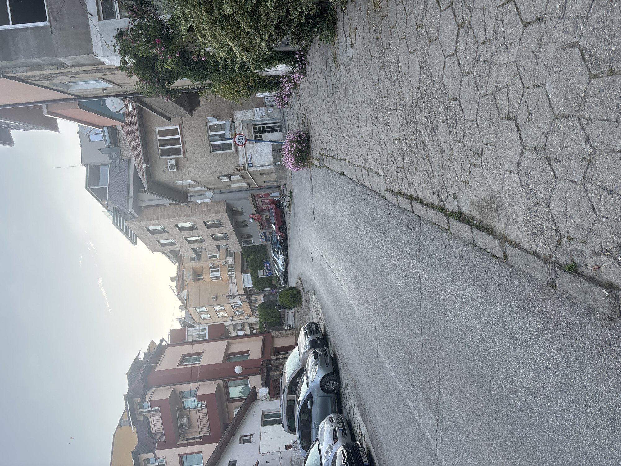 The image depicts a static street scene in Blagoevgrad, Bulgaria, likely during daytime with a bright but somewhat hazy sky. The view is down a slightly curving asphalt road, bordered by a wide sidewalk paved with hexagonal concrete blocks.
On both sides of the street, multi-story residential buildings are visible, varying in architectural style and color, some with balconies, satellite dishes, and air conditioning units. Lush green foliage and pink flowering bushes adorn the sidewalk and the walls of some buildings, adding splashes of color to the predominantly grey and beige urban landscape. Several cars are parked along the curb on the left side of the street, including a dark grey hatchback, a silver hatchback, and other vehicles partially obscured. Some of the visible license plates begin with "E", consistent with Blagoevgrad, Bulgaria.
No people are clearly visible performing any activity. The scene conveys a quiet, everyday urban environment. A notable detail is a red circular road sign with a white background and a red border, indicating a weight limit of "3.5t". The cracks and wear on the hexagonal sidewalk pavers suggest an older, well-used urban infrastructure. The overall impression is one of a typical European town street.