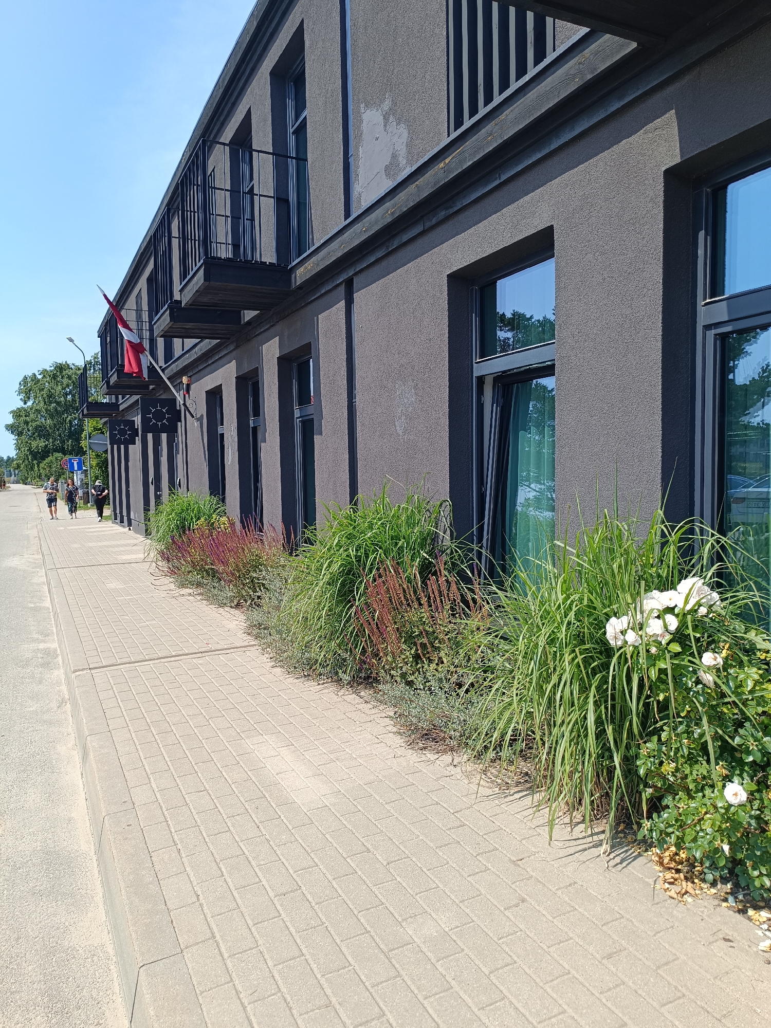 The image shows a modern building with a dark gray textured facade, featuring several large windows and balconies on the upper floor. A Latvian flag is visible hanging from one of the balconies. In front of the building, a paved sidewalk runs along a street, with a landscaped area featuring tall grasses, flowering bushes with white roses, and red-toned foliage. Two individuals are walking on the sidewalk in the distance, approaching the building. The scene is bathed in sunlight under a clear blue sky, suggesting a warm day in Pāvilosta, Latvia.