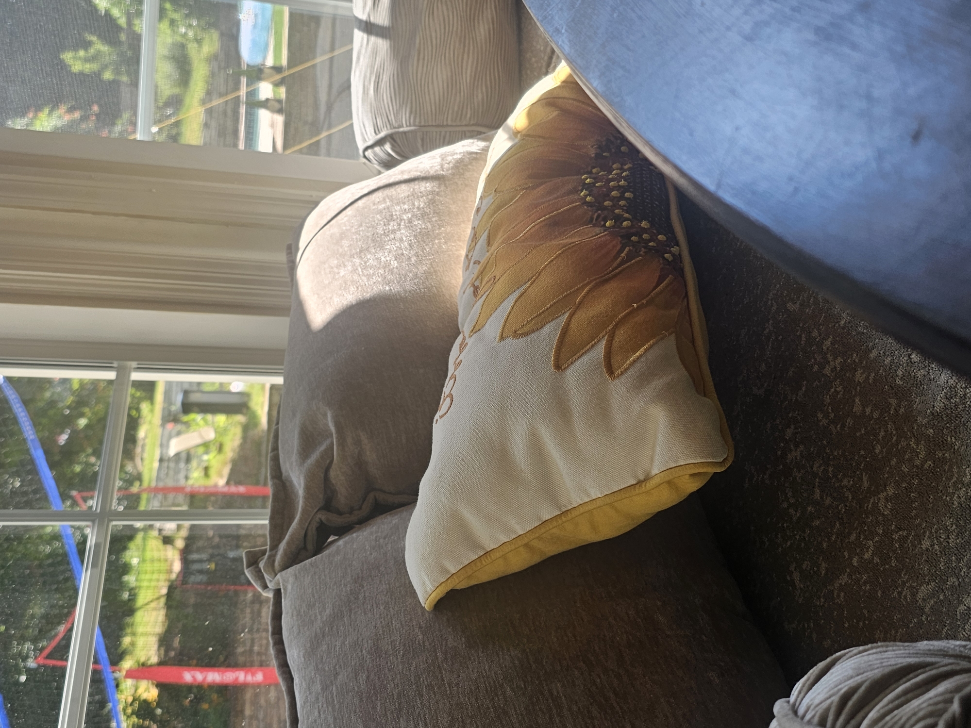 An indoor scene shows a couch with several pillows in a sunlit room. On the couch are two large, neutral-colored pillows. A smaller lumbar pillow with a sunflower design is placed in front of them. In the background, through a window, a swimming pool and lush greenery are visible. The sunlight casts shadows across the scene. The image is believed to have been taken in Marietta, United States.