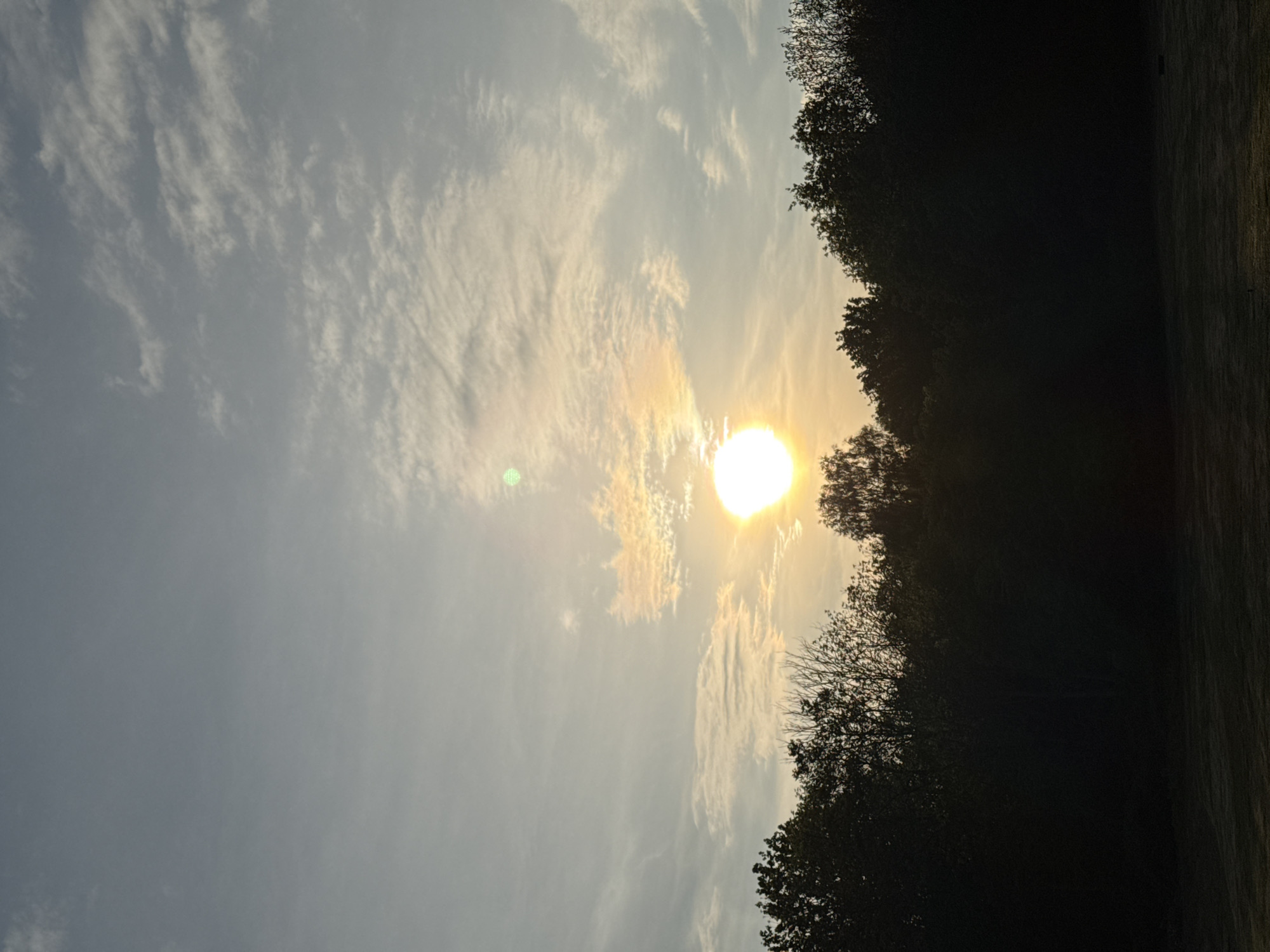 A landscape photo taken at sunrise or sunset in East Suffolk, United Kingdom. The sun is visible through a break in the trees at the horizon line. Wispy, high-altitude clouds are scattered across the sky. A patch of grass or field is visible on the right of the frame, and tree tops are silhouetted along the horizon. The lighting suggests dawn or dusk.