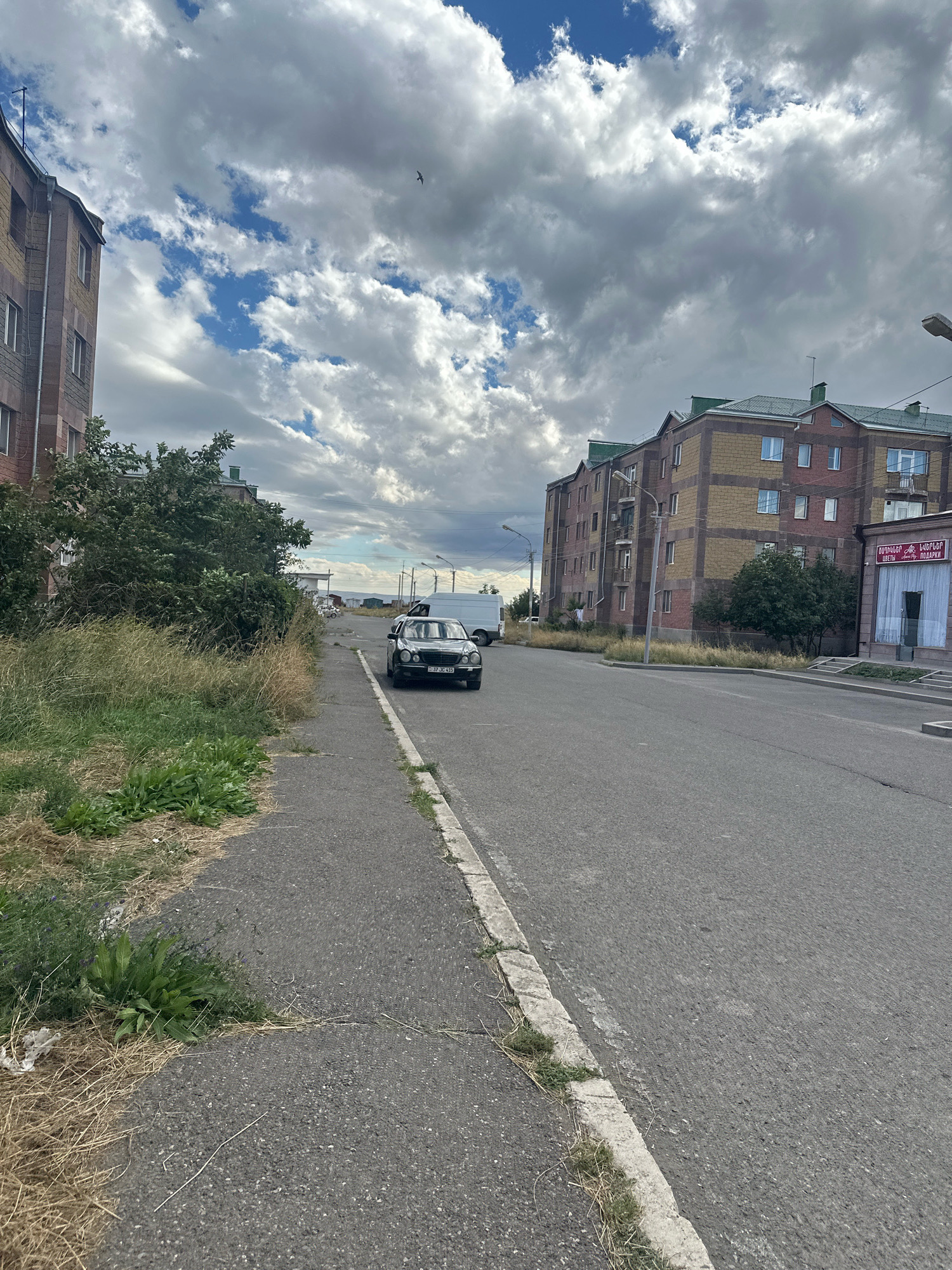 A street scene in Gyumri, Armenia features apartment buildings, a road, sidewalk, and vegetation under a cloudy sky. The apartment buildings are multi-story structures with brick facades in shades of yellow and red, and green roofs. One building on the right has a storefront at street level with text in Armenian and Russian. The road is paved and appears to be a two-lane street. A sidewalk runs along the left side of the road, bordered by patchy grass and dry vegetation. A black Mercedes-Benz sedan is parked on the right side of the road, and a white van is visible further down the street. A single bird is captured flying in the sky. The overall scene suggests a residential area with some commercial activity.