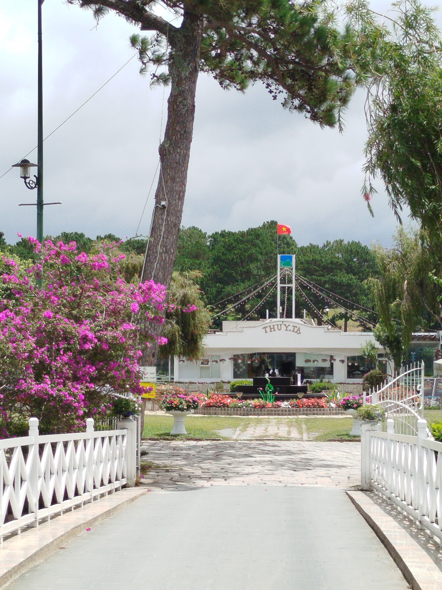 The image depicts the entrance to the Datanla Waterfall tourist area in Da Lat, Vietnam. In the foreground, a paved pathway leads towards a white wooden fence and an arched bridge. Beyond the fence, a lush green lawn is adorned with vibrant pink bougainvillea bushes.
The background features a white building with the Vietnamese name "THUY TA" prominently displayed. A Vietnamese flag flutters from a tall pole above the building. The building appears to be a restaurant or service area, with large windows and several decorative lights strung across its facade.
The overall scene is bathed in natural daylight under an overcast sky, suggesting it might be a humid or slightly cloudy day. The presence of trees, flowers, and the architecture suggests a well-maintained tourist attraction. There are no visible people actively engaged in any specific actions within the frame.