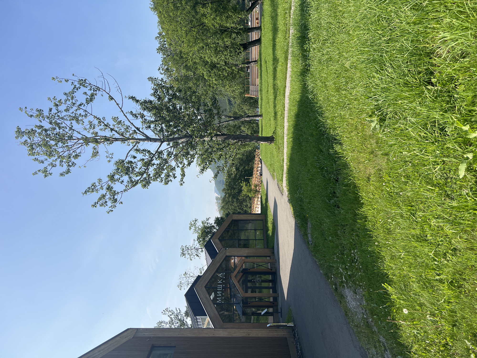 This image depicts the "Mishka" restaurant in Paratunka, Russia, on a clear, sunny day. The building features modern architecture with dark, pitched roofs and wooden exterior paneling. Large glass facades on the front of the restaurant allow views into the interior. A paved walkway leads to the glass entrance.
The surrounding environment is lush and green, with a well-maintained lawn in the foreground and middle ground. Several trees are scattered across the landscape, with a tall, slender tree with sparse foliage dominating the right side of the frame. In the background, a wooden structure resembling bleachers or a viewing platform is visible, with a wooden bridge or walkway extending to the right. Beyond the structures, a forested hillside rises, and in the far distance, snow-capped mountains are visible under a clear blue sky. No people are visible in the image. The scene conveys a sense of tranquility and natural beauty.