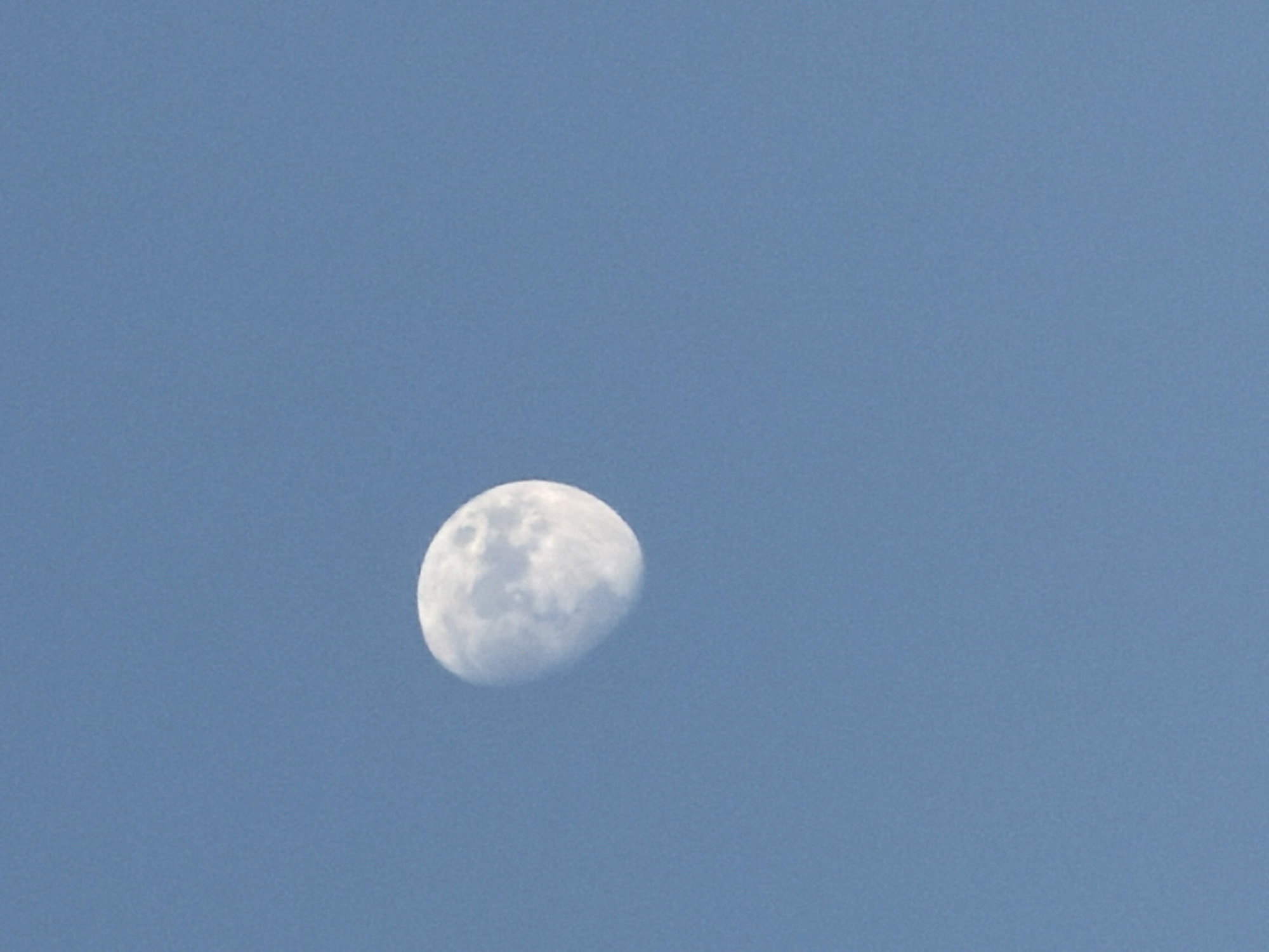 The media file shows a waxing gibbous moon against a clear, light blue sky. The moon, illuminated from the right, displays visible craters and darker maria on its surface. The sky is uniformly colored, suggesting daytime or early evening conditions. There are no people or other objects visible in the image. The setting appears to be an open sky, with no terrestrial landmarks to indicate a specific location, though the prompt specifies Sofia, Bulgaria. The image captures a celestial phenomenon, with the moon being the sole subject. The time of day is likely during daylight hours due to the blue sky, though the presence of the moon suggests it could be late afternoon or early evening. No specific activity is depicted other than the moon's presence in the sky. There is no visible text in the image.