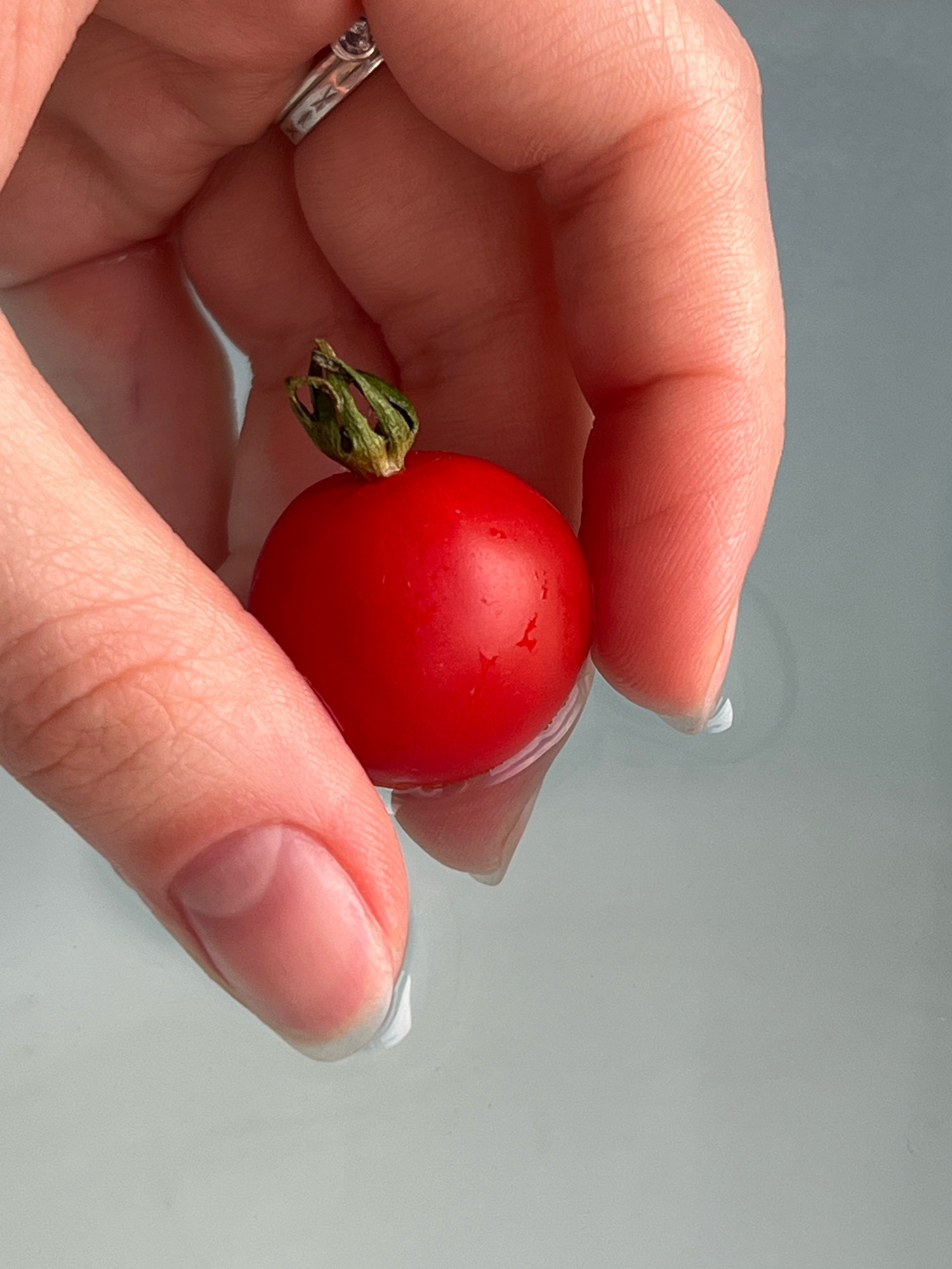 A close-up, high-angle shot shows a person's hand holding a single, bright red cherry tomato with a green stem. The tomato is partially submerged in clear water, creating a subtle ripple effect on the surface. The hand is delicately cupping the tomato, with the fingers and thumb visible. A silver ring with a small stone is worn on the ring finger. The background is a blurry, light gray surface, possibly a sink or a flat surface with water. The image is well-lit, with the focus sharp on the tomato and the hand. The scene appears to be set indoors, and there is no indication of a specific location in Orsha, Belarus.