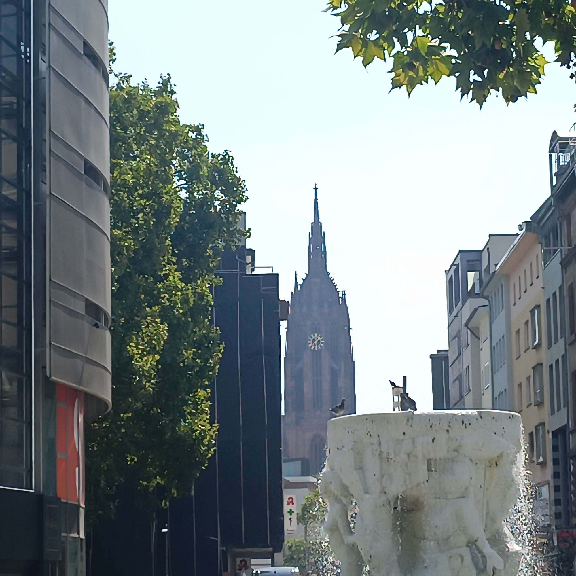 The image shows a street scene in Frankfurt, Germany, with a prominent gothic church tower in the background. In the foreground, a white, rough-textured fountain is visible, with water spraying from its edges. Two pigeons are perched on the fountain. To the left of the fountain, a modern building with a curved facade and horizontal louvers is present. Behind the fountain and to the right of the church tower, a row of multi-story buildings with various architectural styles can be seen. Green trees with dense foliage are scattered throughout the scene, partially obscuring the buildings. The sky is clear and bright. A pharmacy sign with a red "A+" symbol and a green plus sign is visible on a dark building to the left of the church tower.