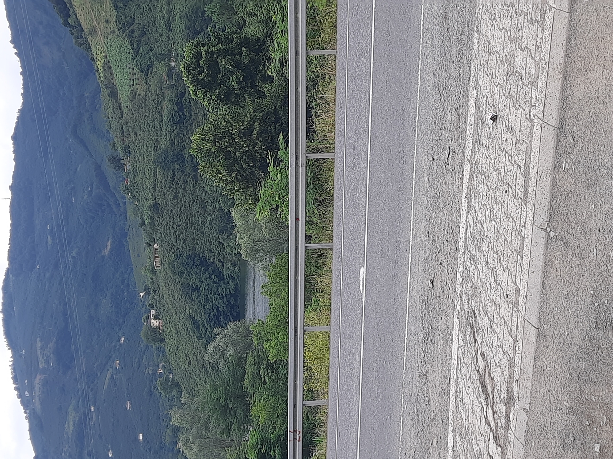 The image depicts a landscape scene in Ayvacık, Turkey, characterized by rolling hills covered in dense vegetation and a body of water visible in the middle ground. A paved road runs horizontally across the foreground, bordered by a metal guardrail. The road surface is marked with white lines. Beyond the guardrail, a patch of grass and some scrub vegetation is visible. In the background, the hills are densely forested with interspersed small buildings, suggesting rural or semi-rural habitation. The sky is overcast, contributing to the muted light of the scene. The foreground also shows a section of interlocking paving stones, some of which appear worn and cracked. There are no people visible in the image.