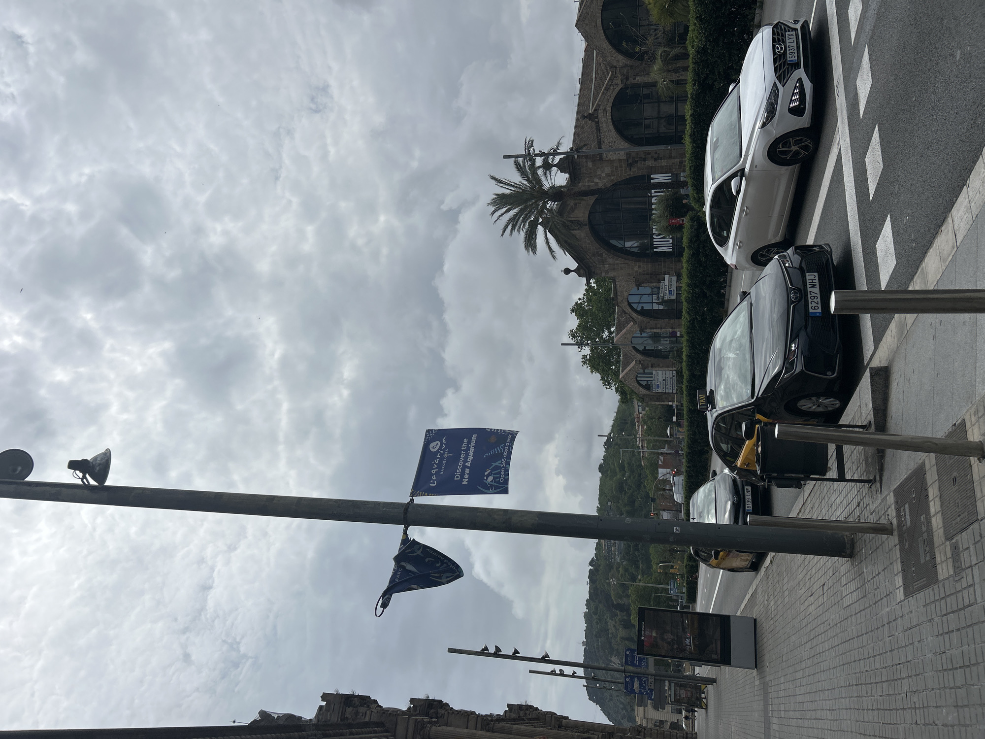The image captures a street scene in Barcelona, Spain, under a cloudy sky. The angle of the shot suggests the photo was taken from ground level and then rotated. On the right of the frame, a white Hyundai and a black car are parked on a street with a zebra crossing. Their license plates, “5937 LYX” and “6297 MHJ” respectively, are visible. The presence of a taxi stand, indicated by signage and a yellow taxi, suggests this might be a public transport area.
A prominent lamppost on the left supports two flags advertising the "New Aquarium" in Barcelona, visible from the text and design. A line of birds are perched along the top of a structure in the foreground. In the background, an arched building that houses the "Museu Marítim" is partially visible, along with a palm tree. A hillside covered in vegetation is also in the distance. The scene suggests an urban environment near a tourist attraction and a transport hub.