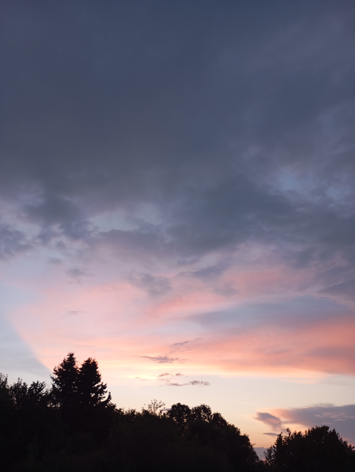 The image depicts a twilight sky over a dark silhouette of trees, likely in the city of Foky, Russia. The sky is a gradient of colors, transitioning from a deep, dark gray at the top to soft pinks and purples closer to the horizon. Wispy clouds are scattered throughout, catching the fading light and adding texture to the scene. The foreground is dominated by the dense, dark shapes of evergreen trees, their forms indistinct against the bright sky. The overall impression is one of natural beauty and the quiet transition from day to night.