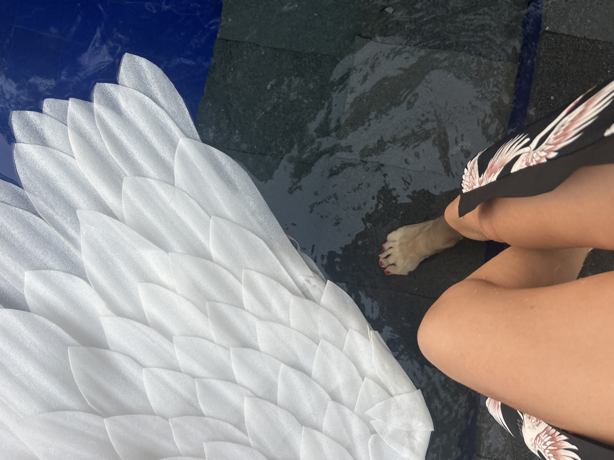 A high-angle photograph depicts a person's lower body partially submerged in a swimming pool in Unknown, Unknown. The person's bare legs, with tanned skin and visible water droplets, are positioned in the lower center of the frame. The right foot, featuring red nail polish on the toenails, is submerged in clear water and rests on dark grey, textured pool tiles. A black garment with a prominent white and pink bird-wing or floral pattern is visible on the left leg. Occupying the upper left portion of the image is a large, white, layered object, consistent with a swan-shaped pool float, characterized by its segmented, feather-like texture. The pool environment includes dark grey or black textured tiles and a distinct section of vibrant royal blue water or lining in the upper right. The scene is brightly illuminated, indicating an outdoor, sunny setting.